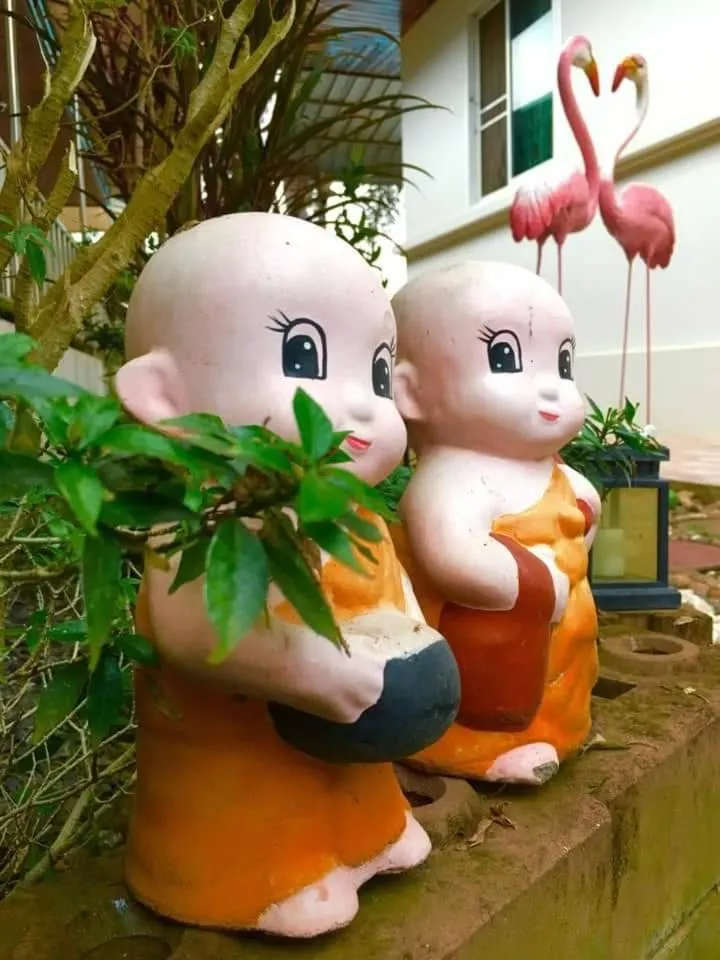 Garden in Nuch's Apple Guest House