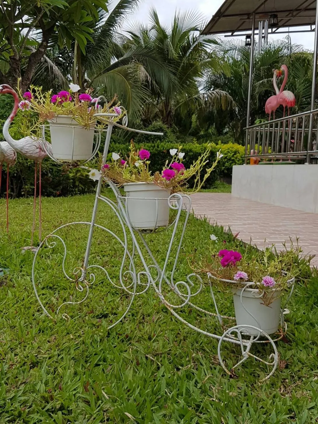 Garden in Nuch's Apple Guest House