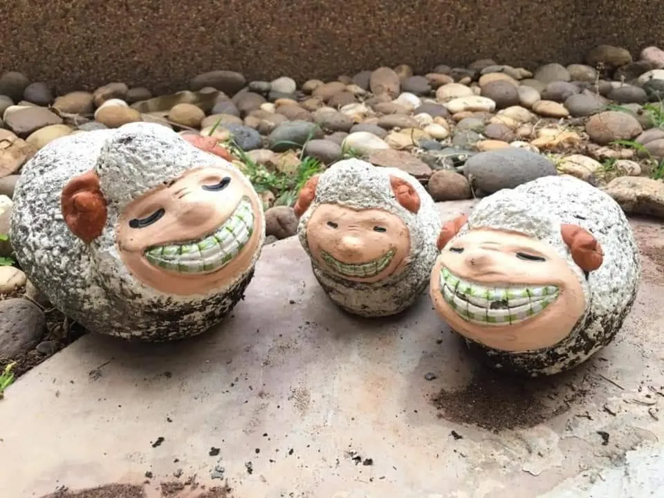 Day in Nuch's Apple Guest House