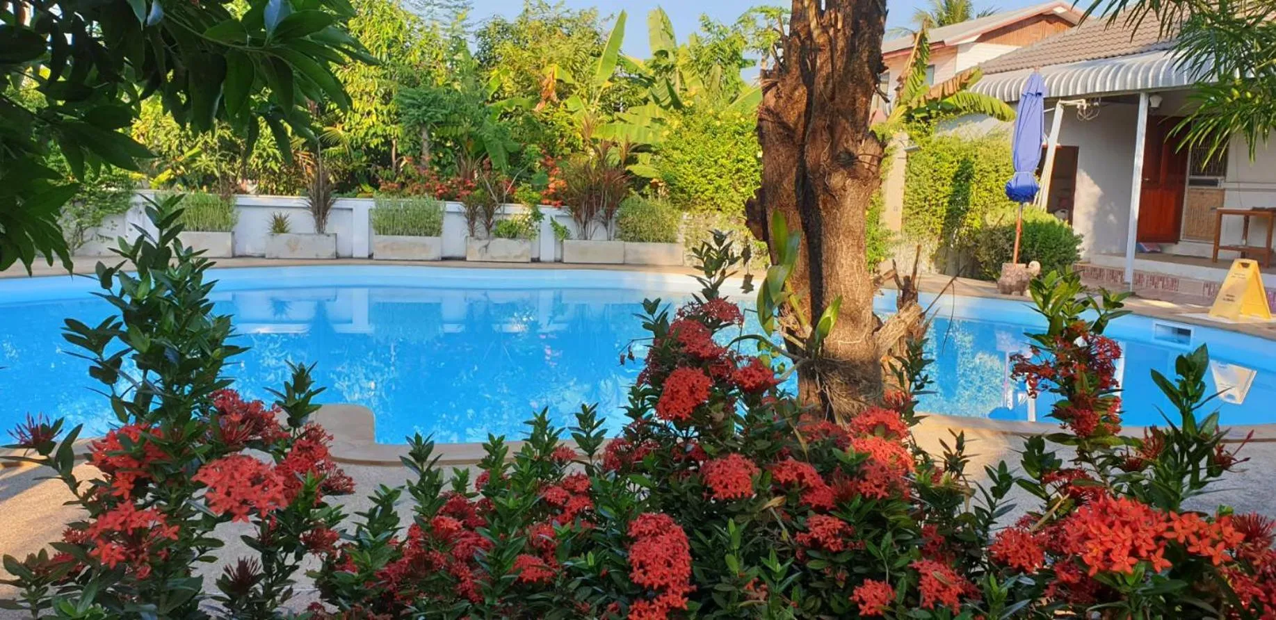 Garden view in Nuch's Apple Guest House