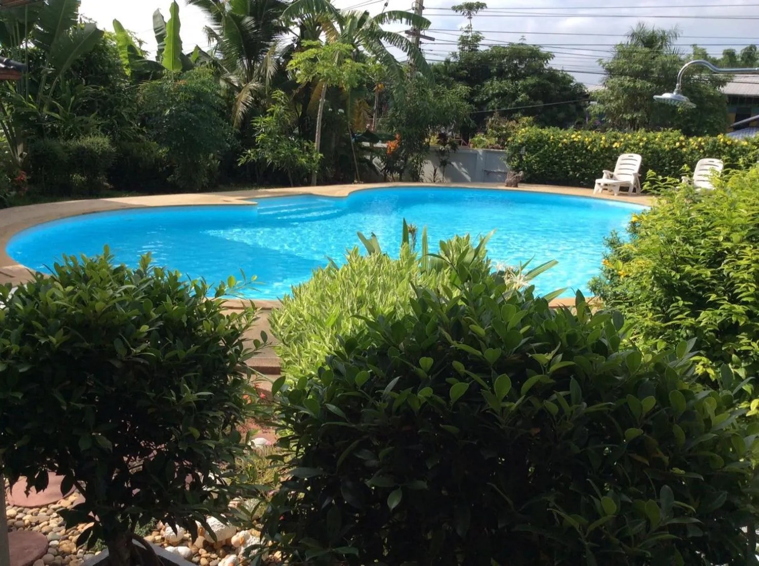 Garden in Nuch's Apple Guest House