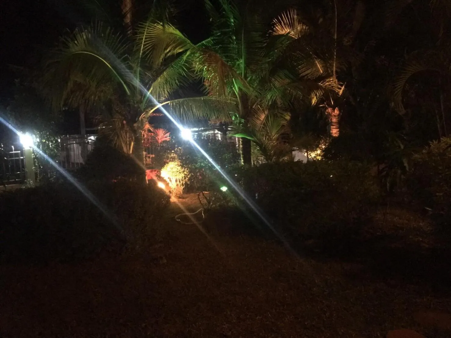 Garden in Nuch's Apple Guest House