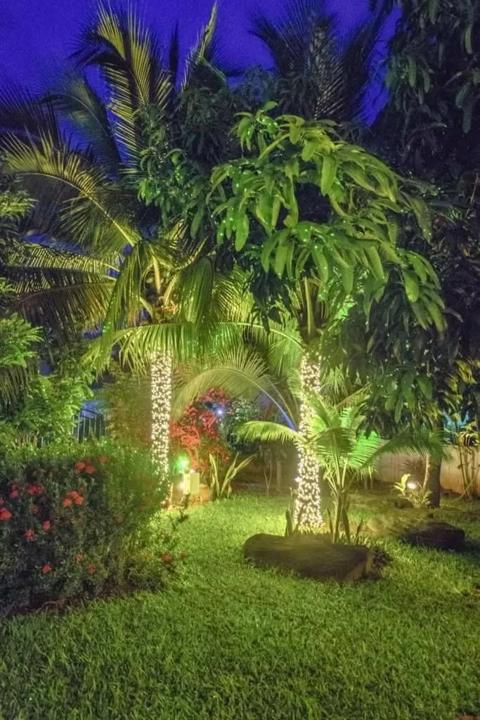 Night in Nuch's Apple Guest House