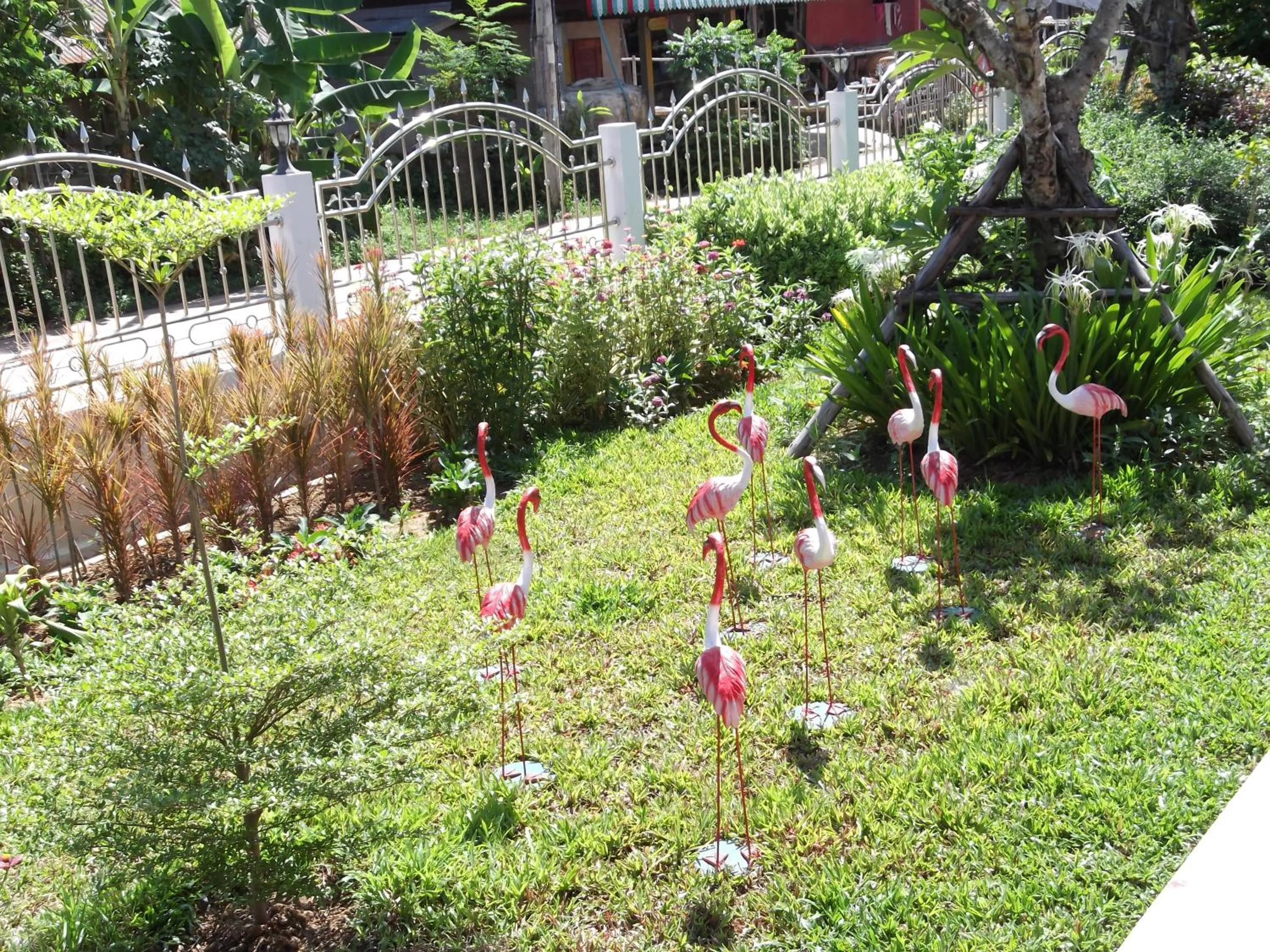 Garden in Nuch's Apple Guest House