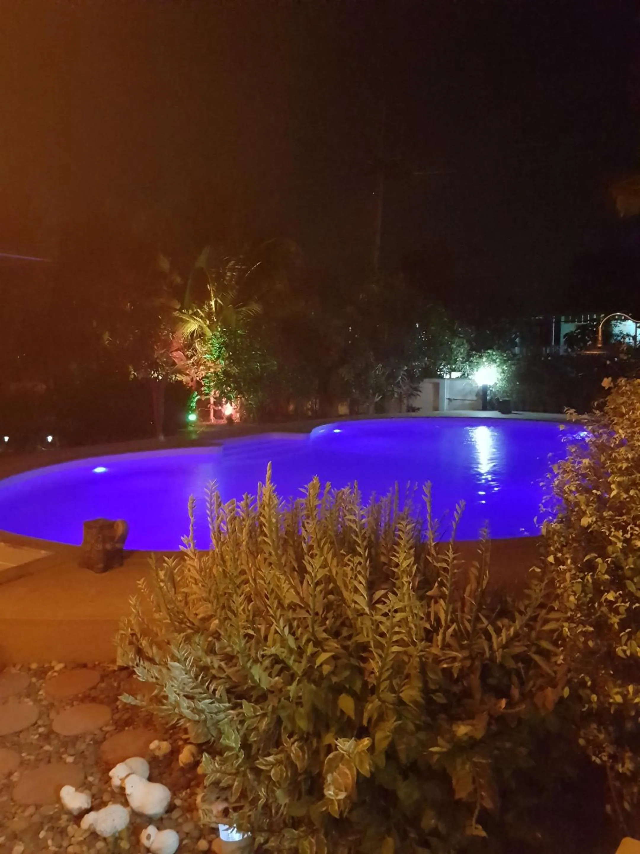 Night in Nuch's Apple Guest House