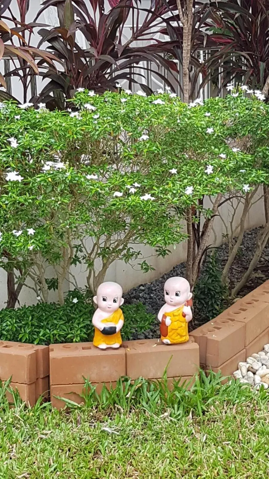 Garden in Nuch's Apple Guest House