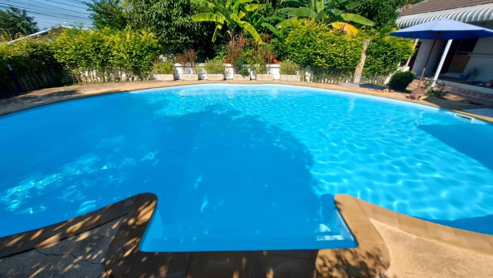 Swimming pool in Nuch's Apple Guest House