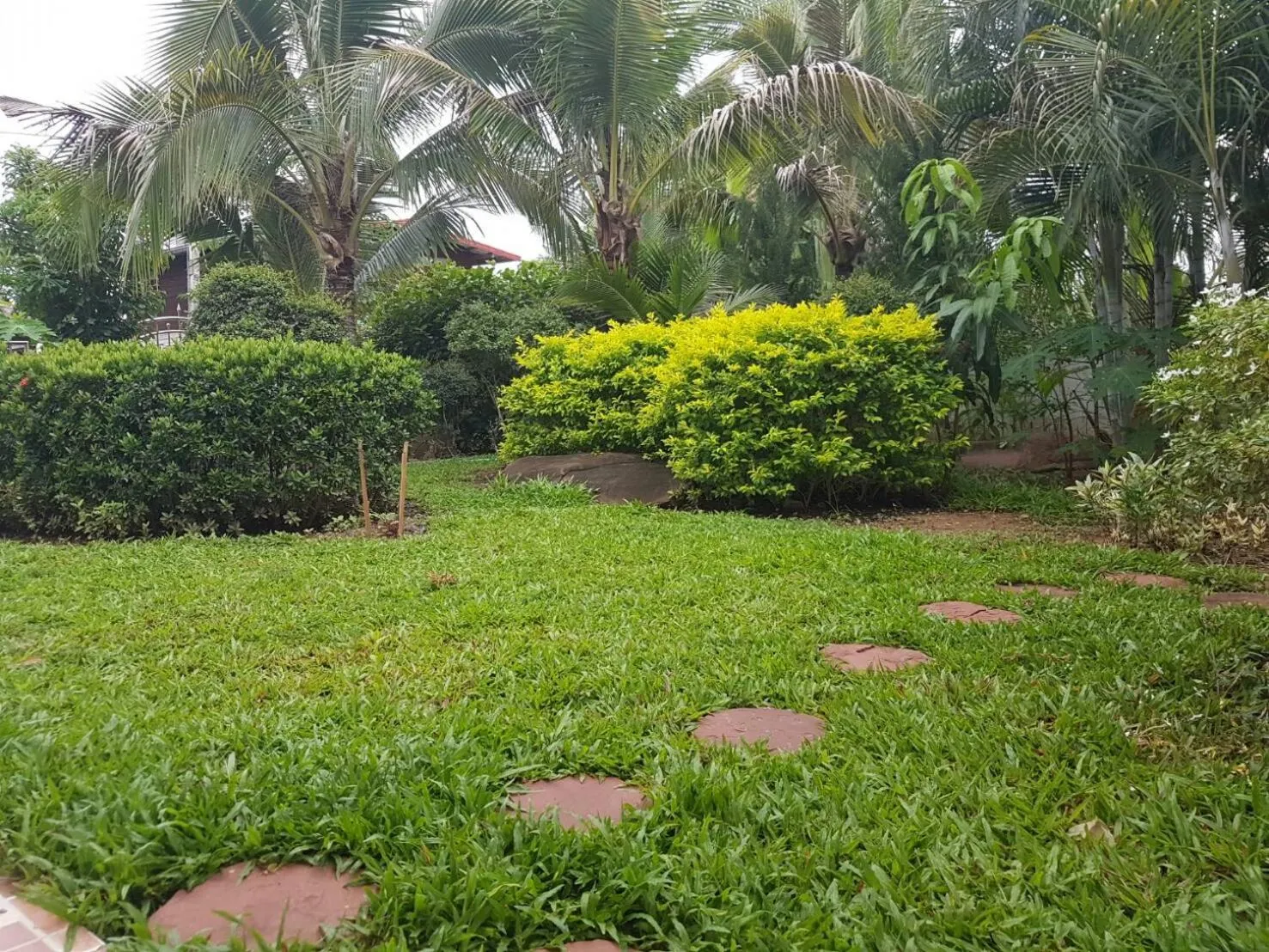 Garden in Nuch's Apple Guest House