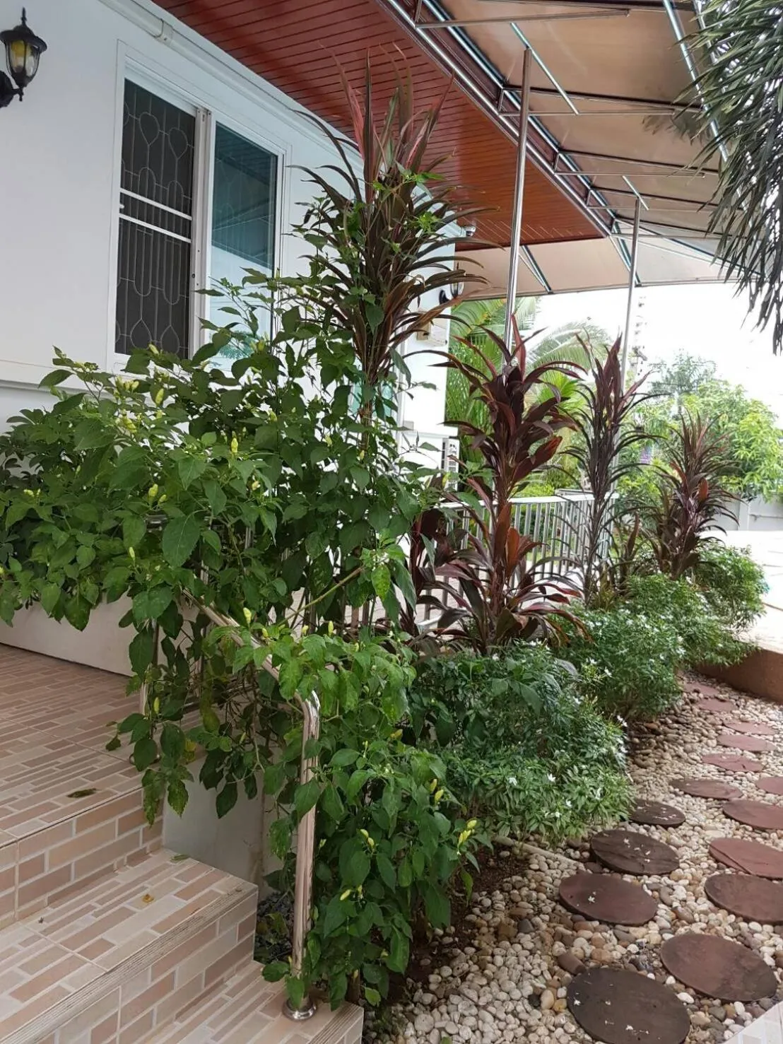 Facade/entrance in Nuch's Apple Guest House