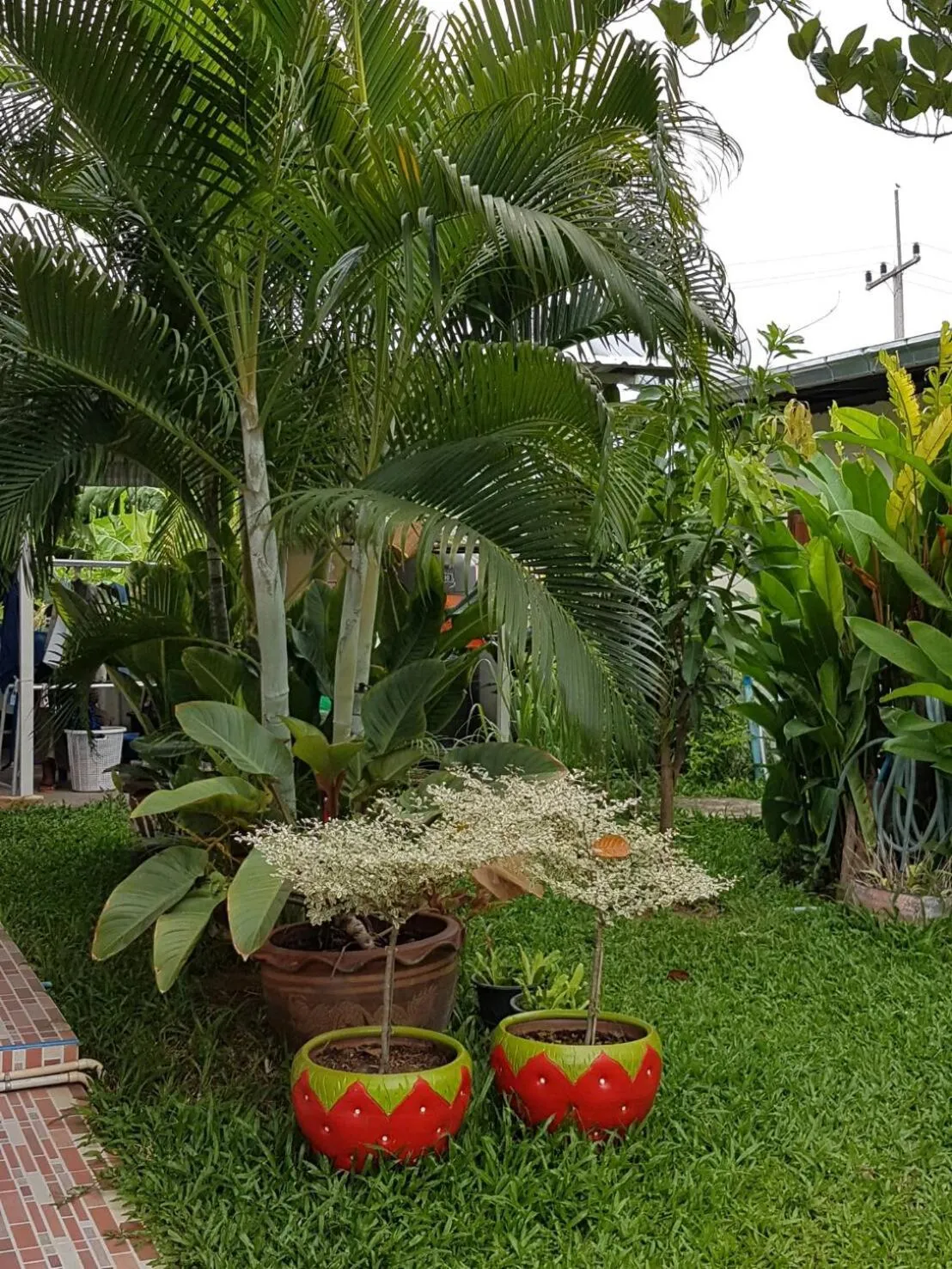 Garden in Nuch's Apple Guest House