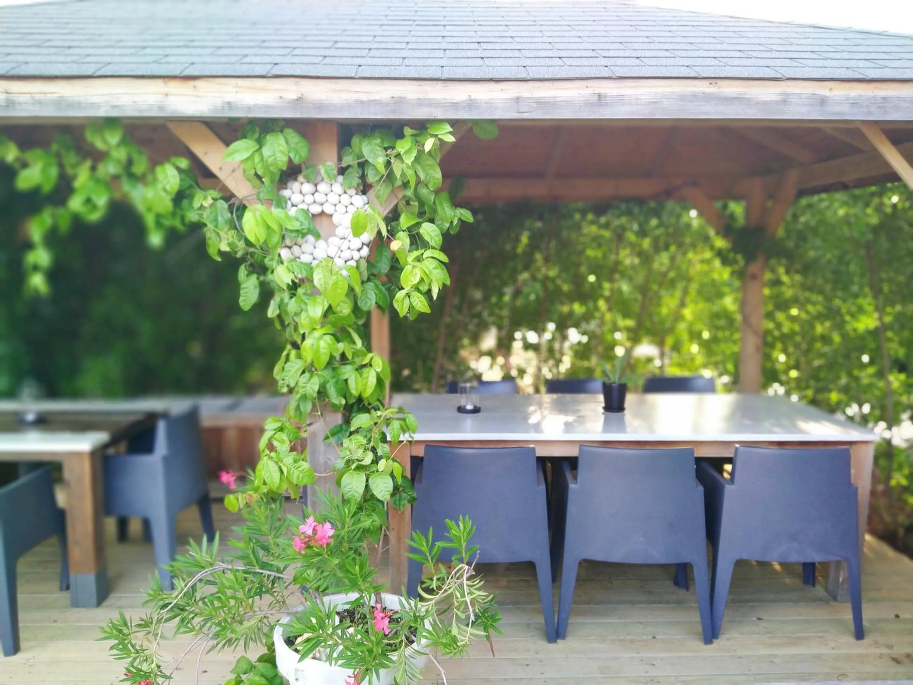 Patio in Red Palm Village