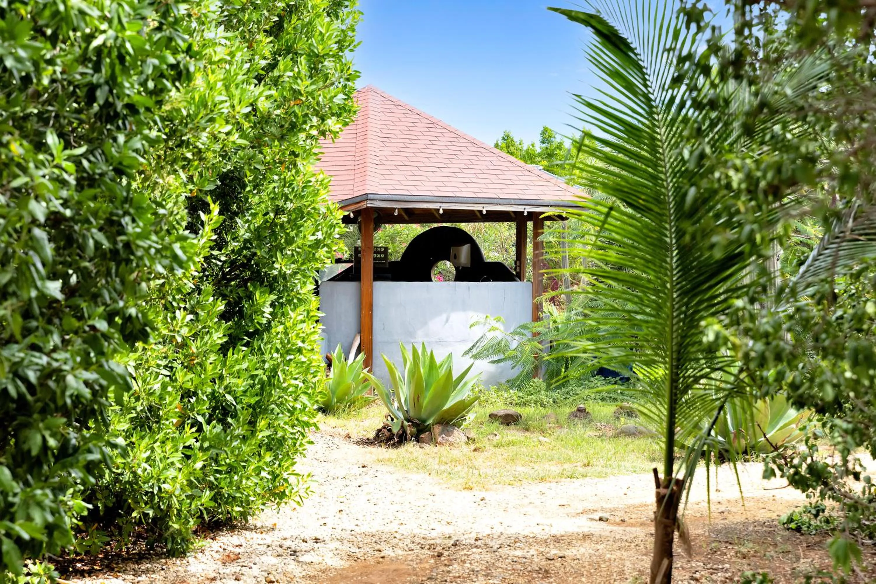 Spring in Red Palm Village