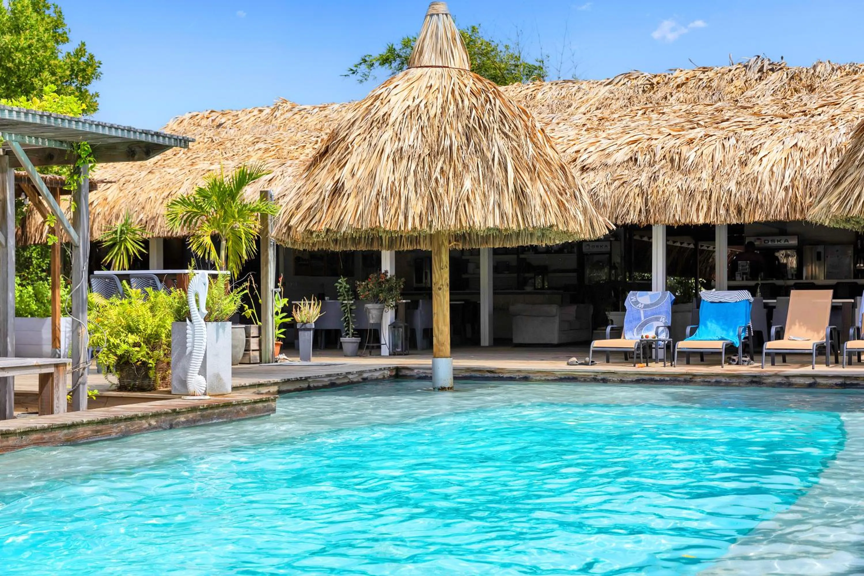 Swimming pool in Red Palm Village