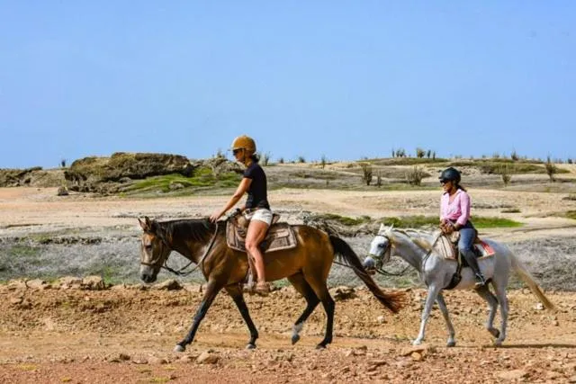 Horse-riding in Red Palm Village