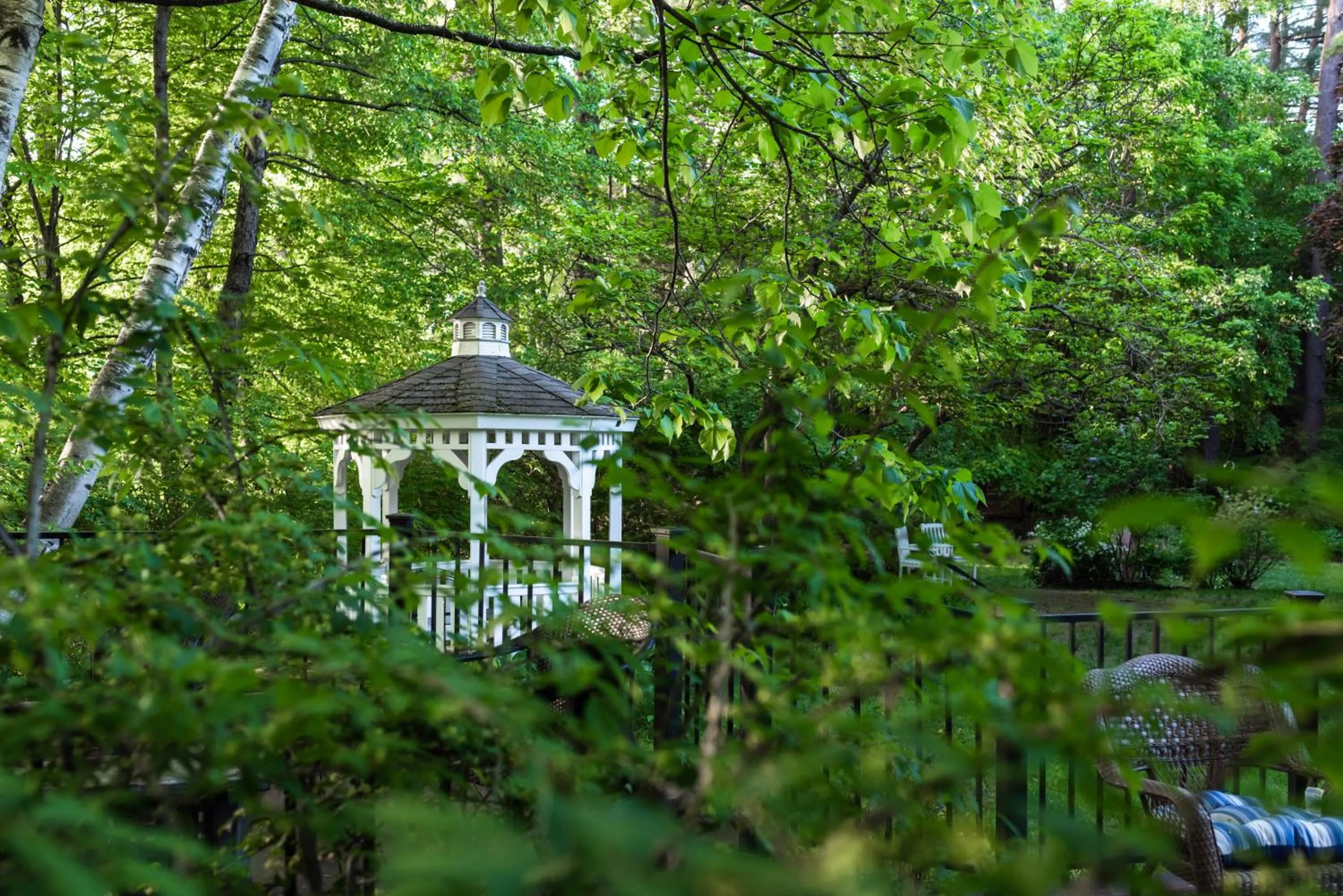 Garden in Inn on Putney Road