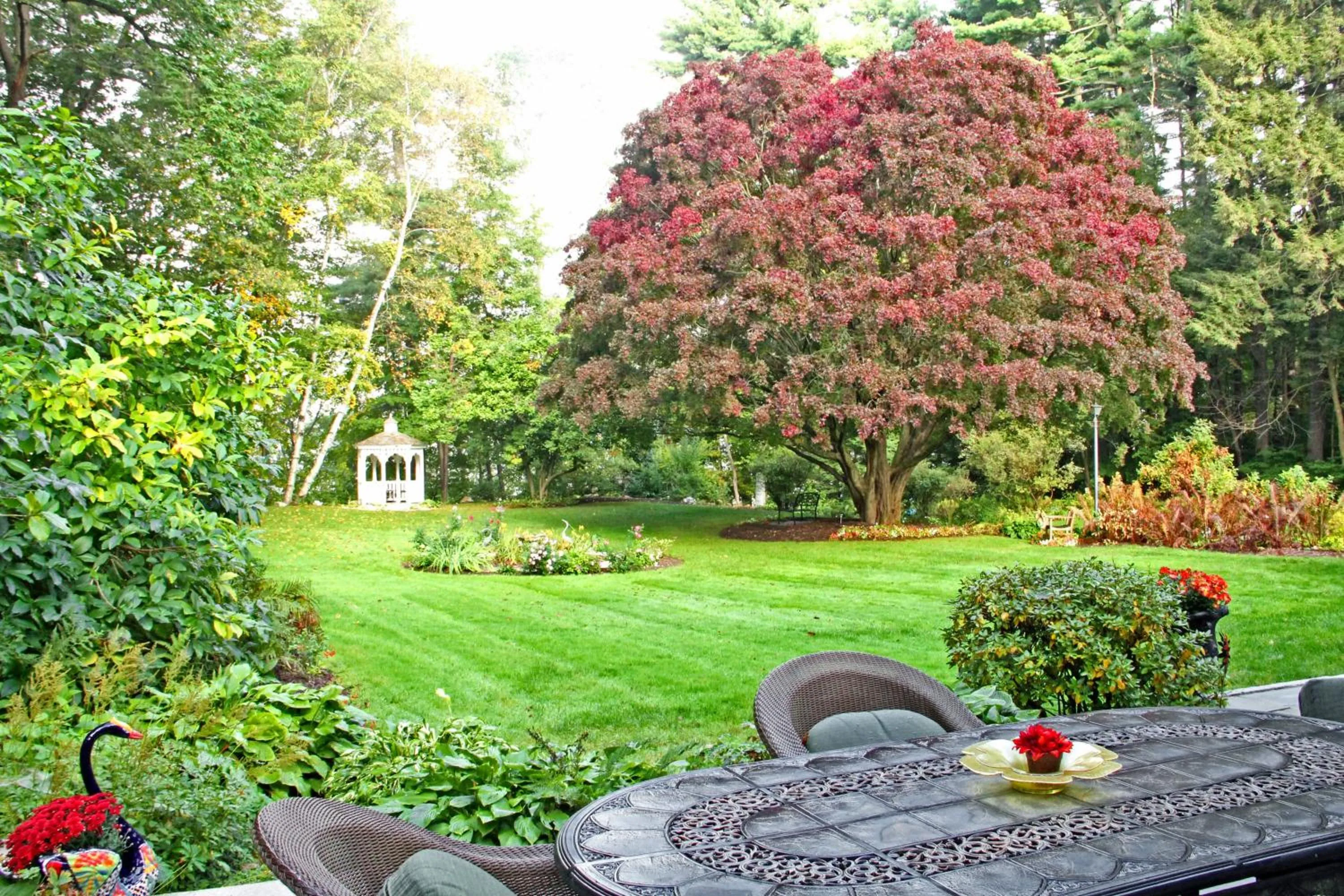 Patio in Inn on Putney Road