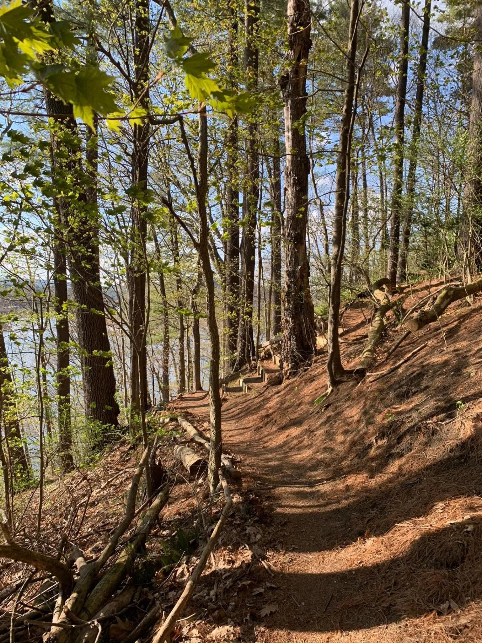 Hiking in Inn on Putney Road