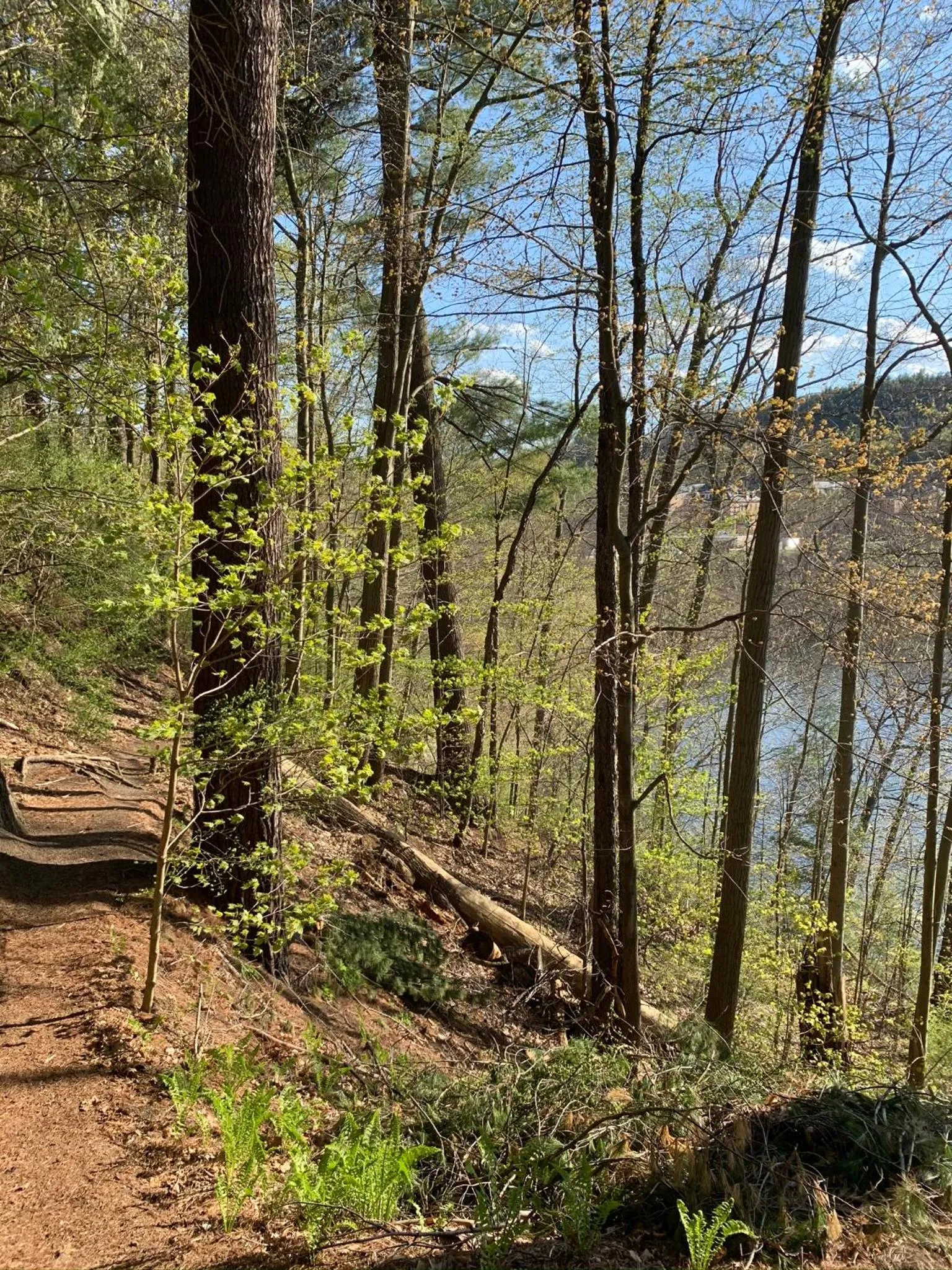 Hiking in Inn on Putney Road