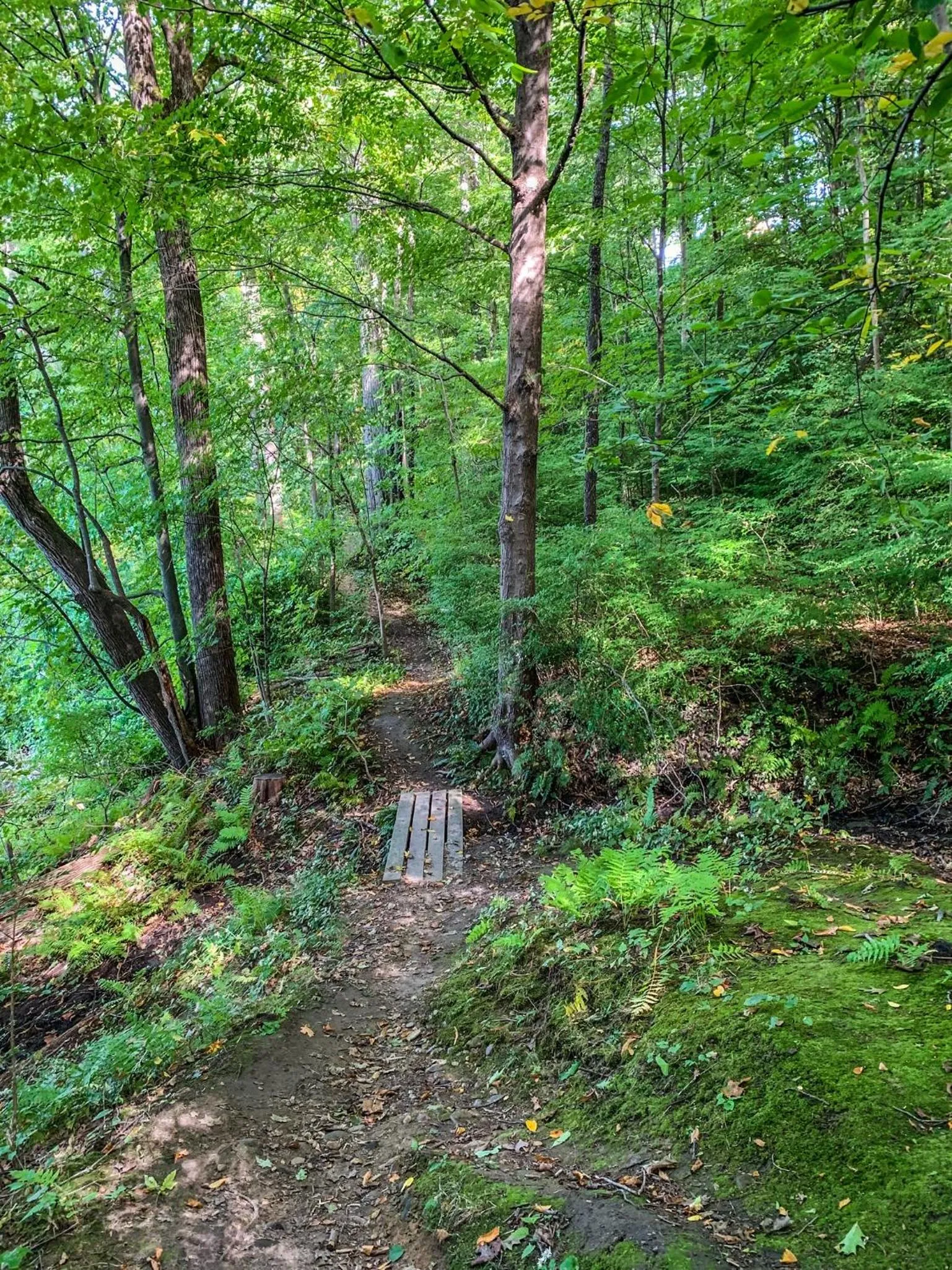 Hiking in Inn on Putney Road