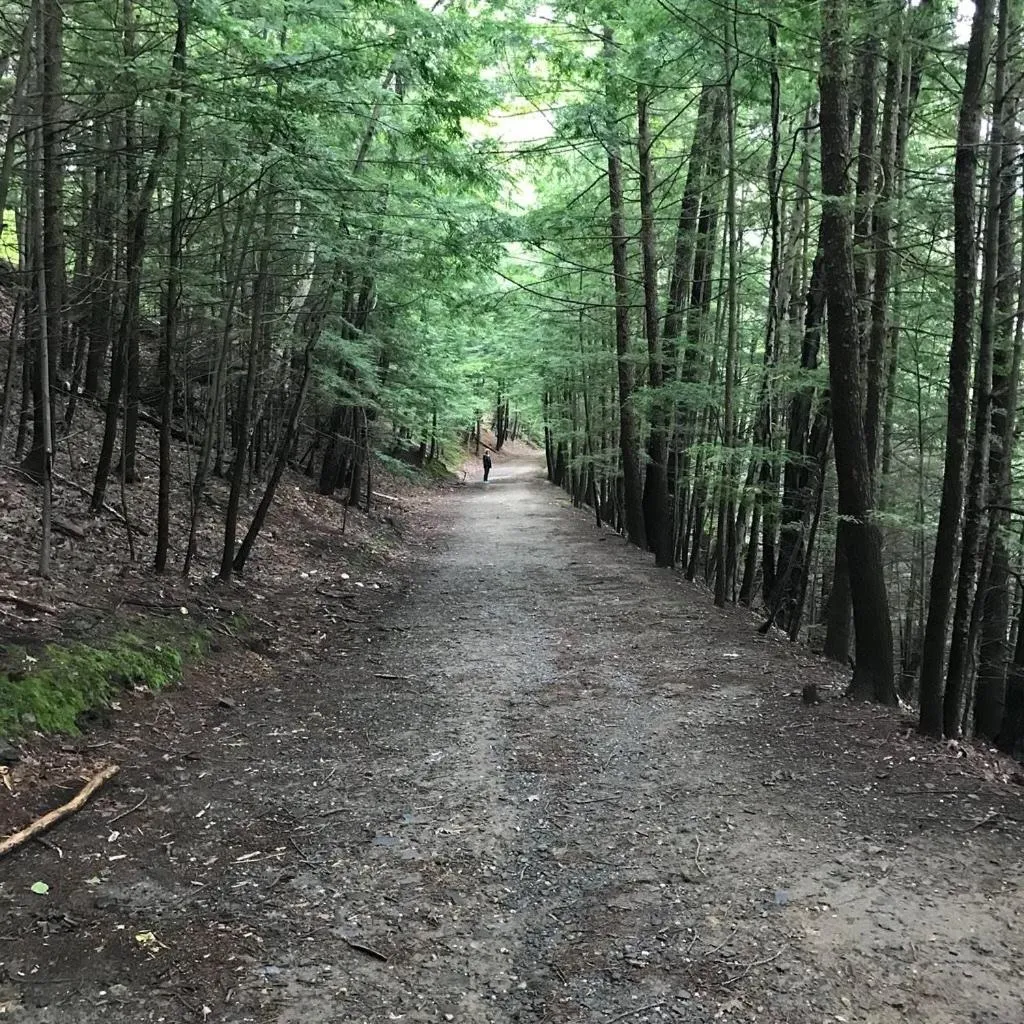 Hiking in Inn on Putney Road