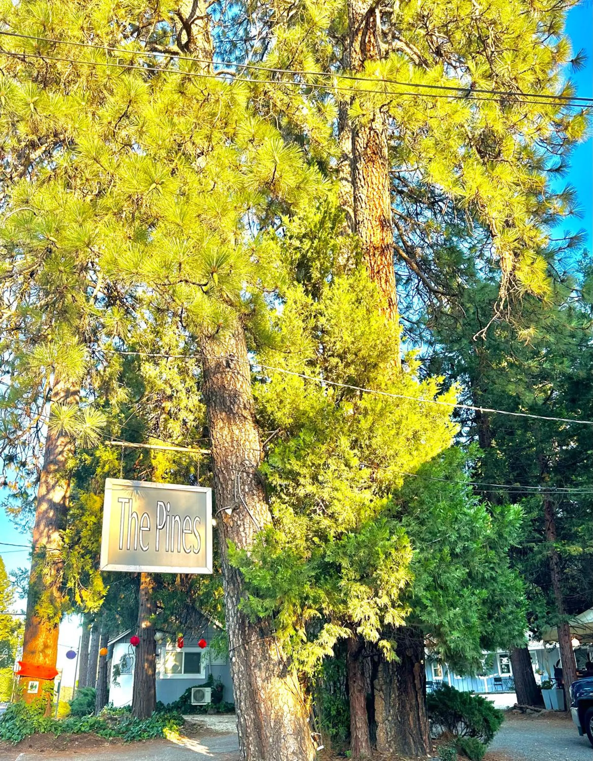 Property logo or sign in The Pines Inn and Cottages