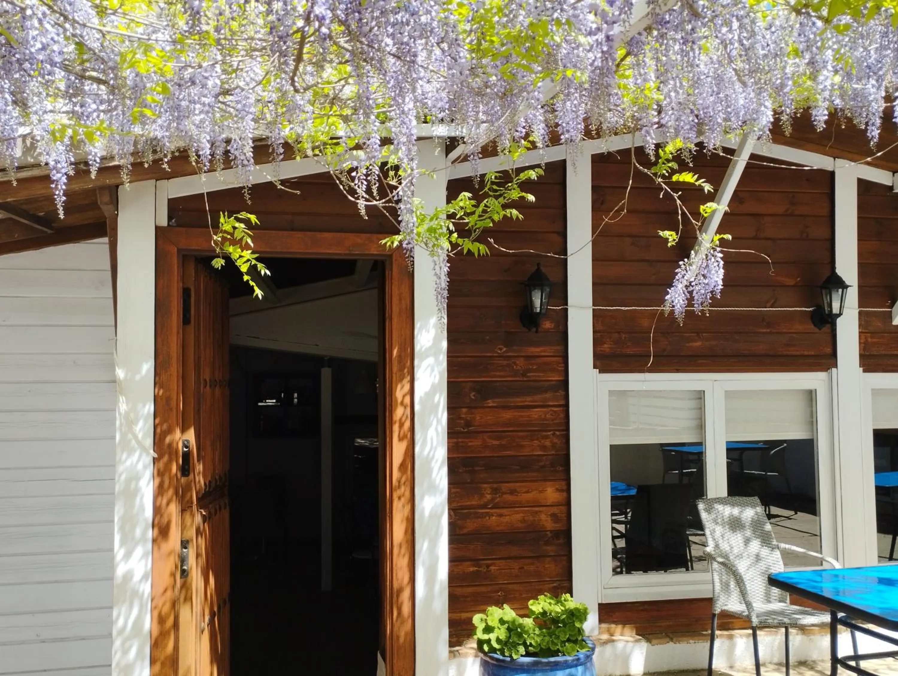Patio in Hotel Finca Aldabra