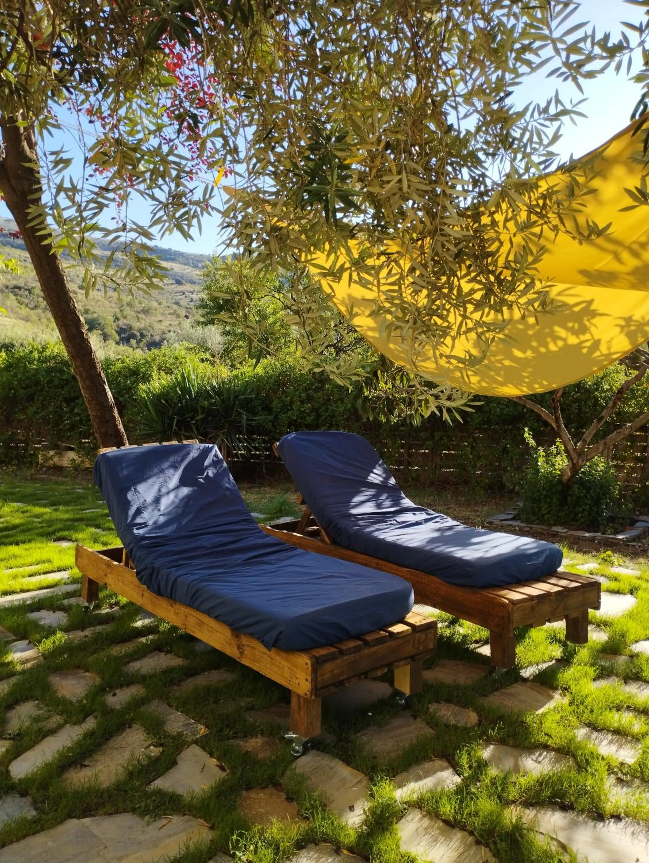 Garden in Hotel Finca Aldabra