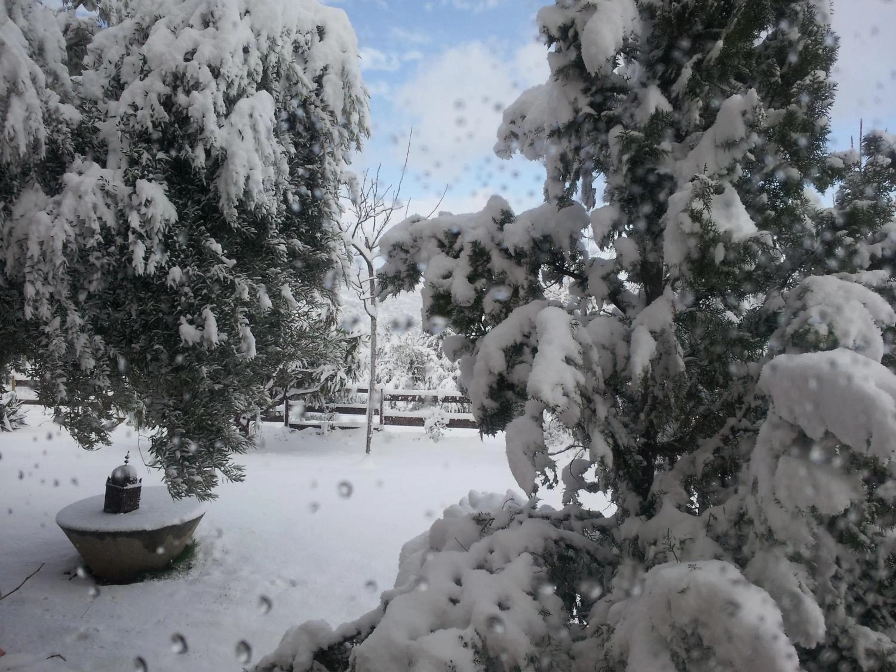 Garden in Hotel Finca Aldabra