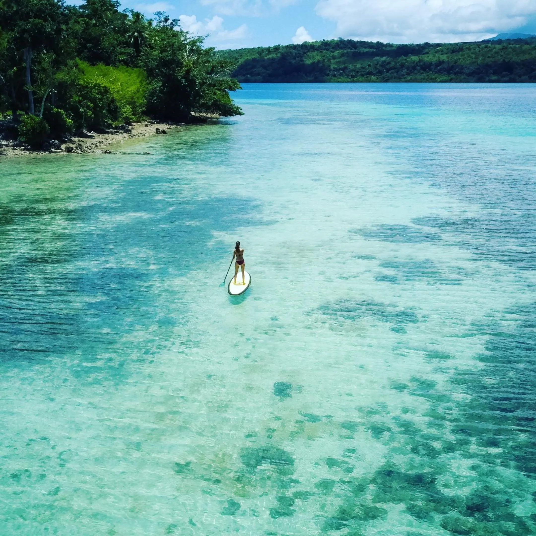 Activities in The Moso