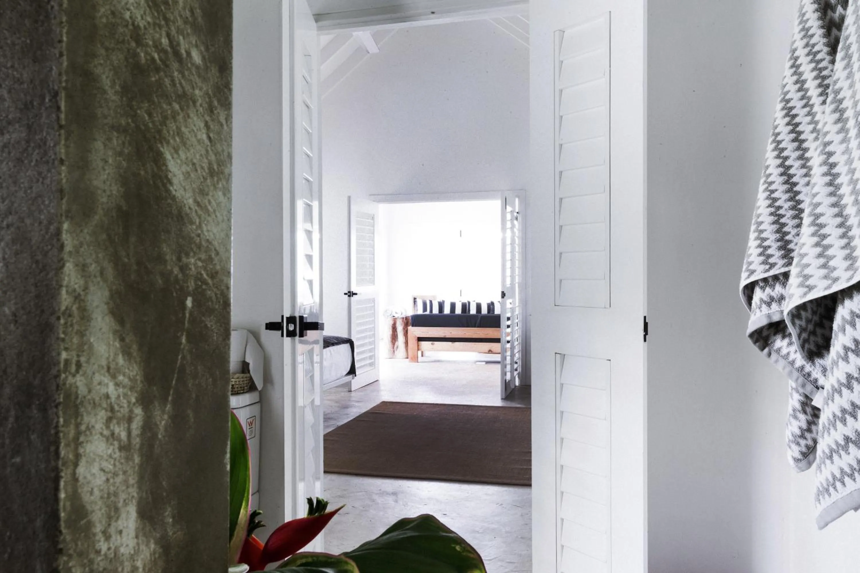 Photo of the whole room in The Moso