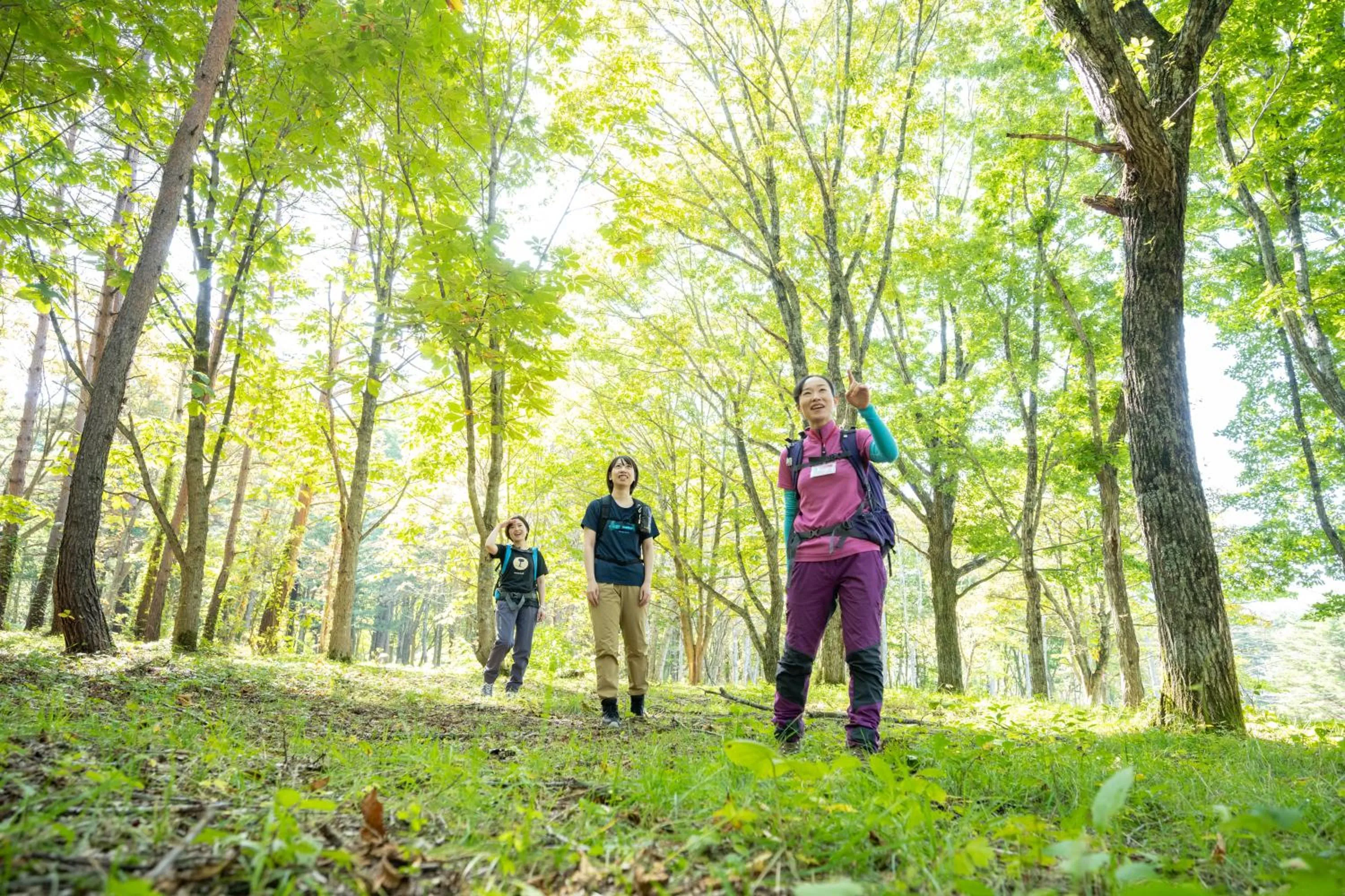 Activities in Hachimantai Mountain Hotel & Spa