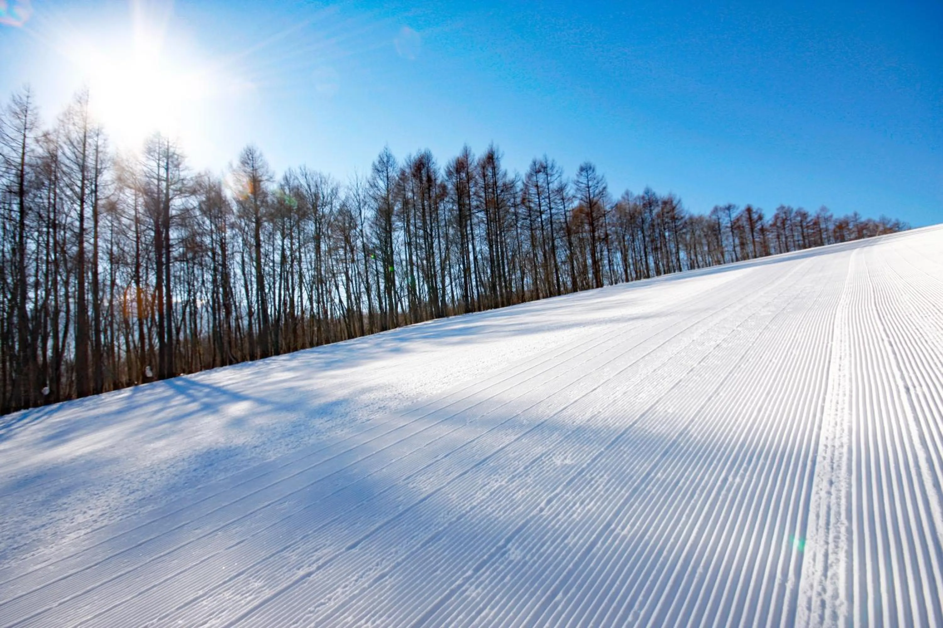 Natural landscape in Hachimantai Mountain Hotel & Spa