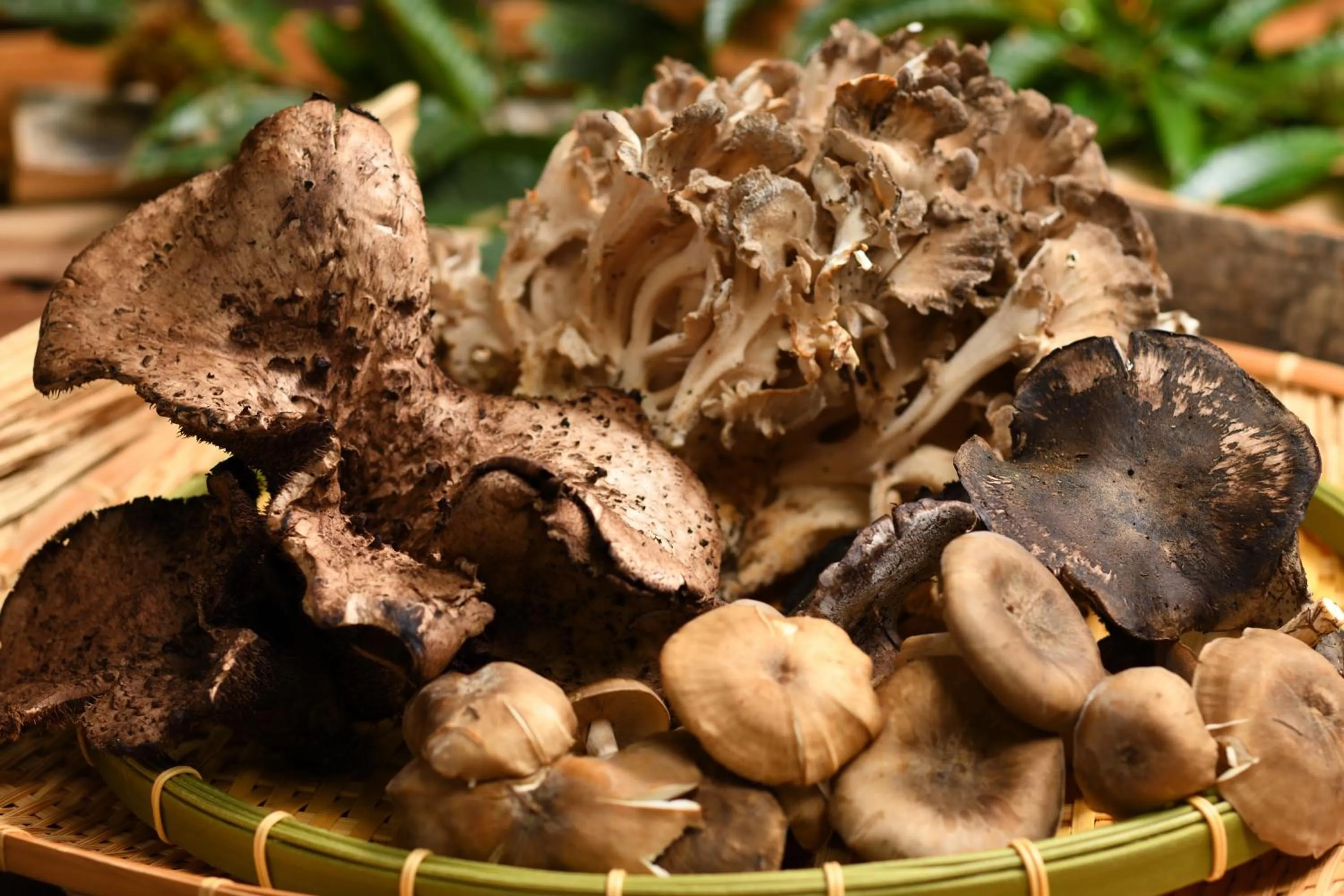 Food close-up in Hachimantai Mountain Hotel & Spa