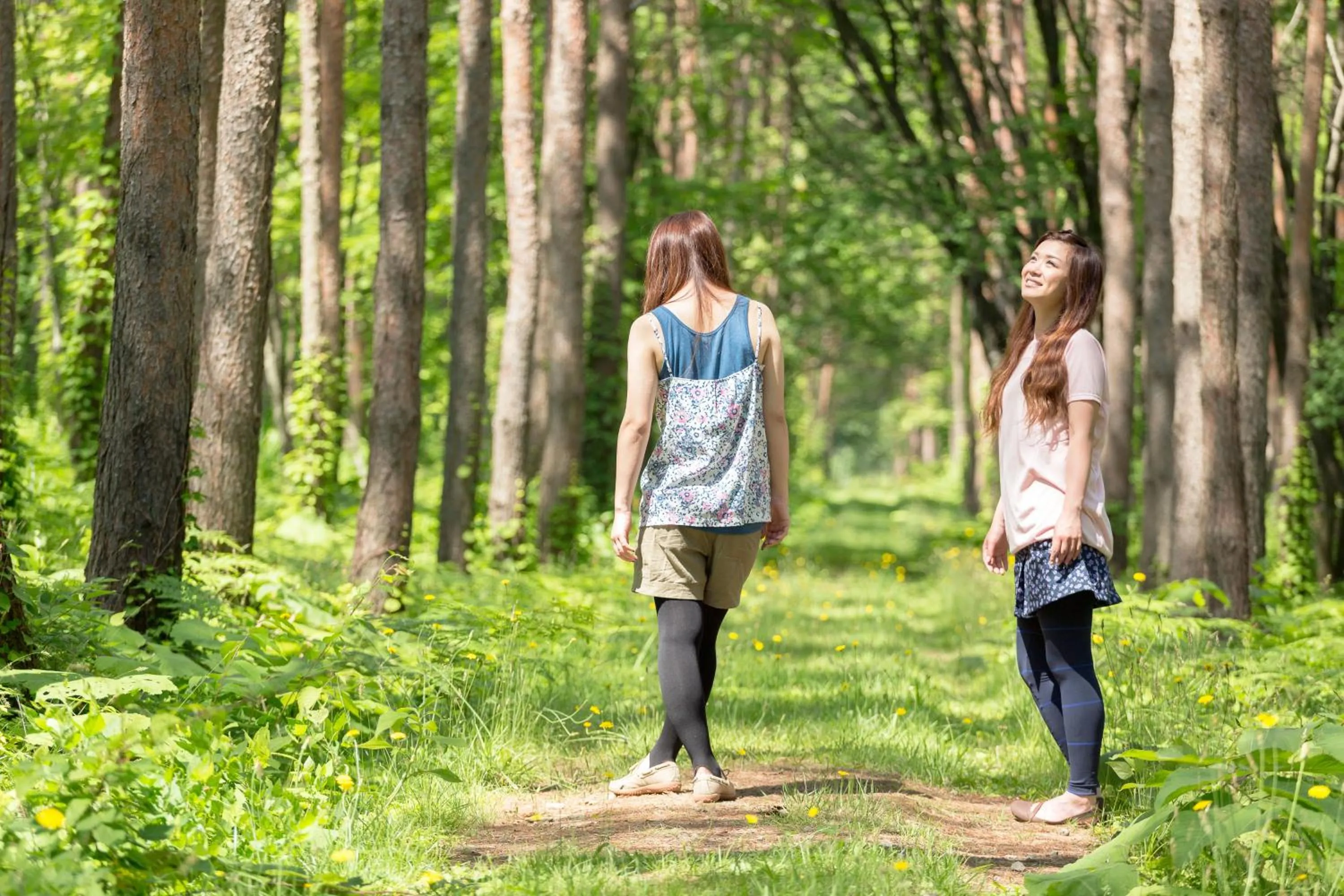 Natural landscape in Hachimantai Mountain Hotel & Spa