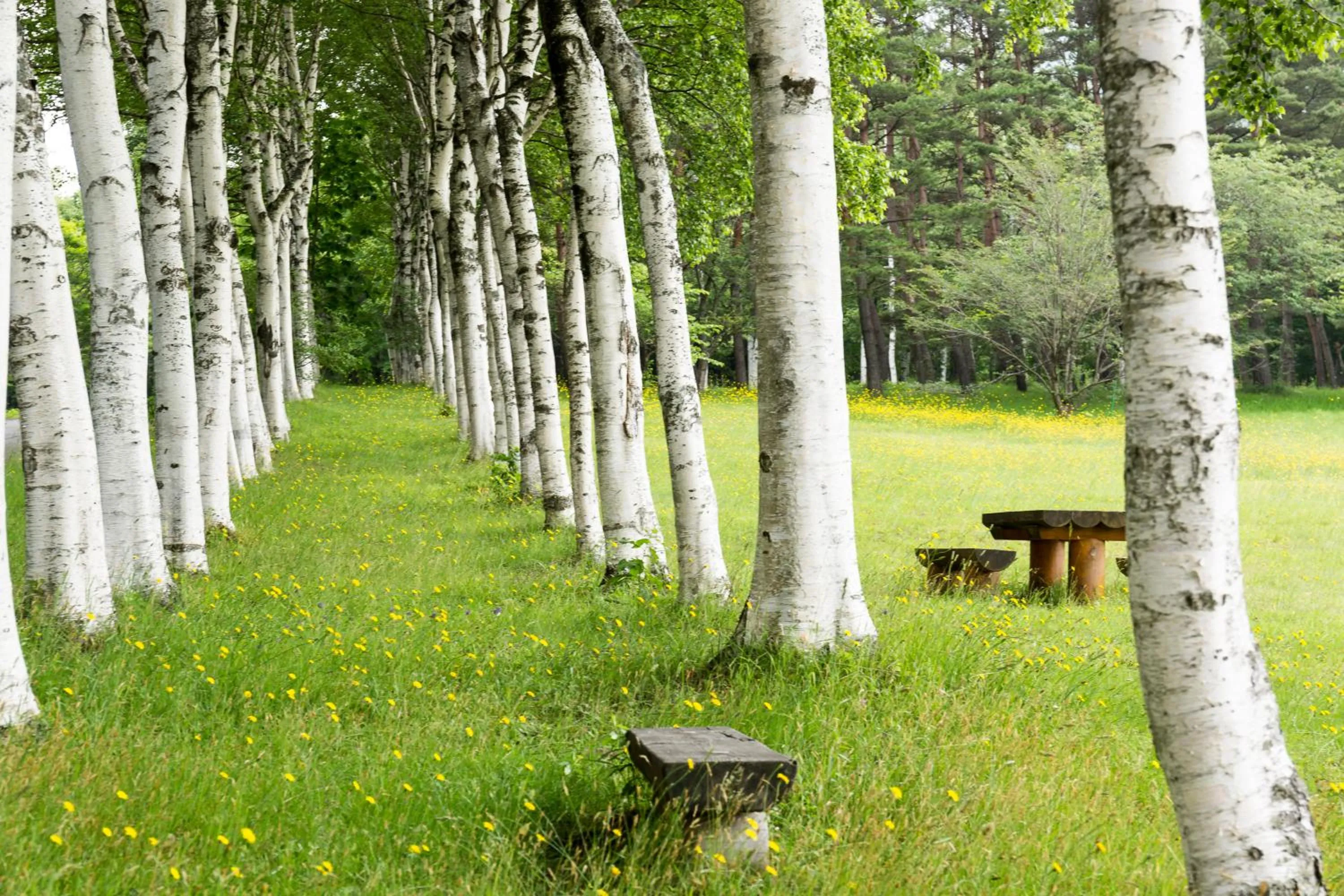 Natural landscape in Hachimantai Mountain Hotel & Spa