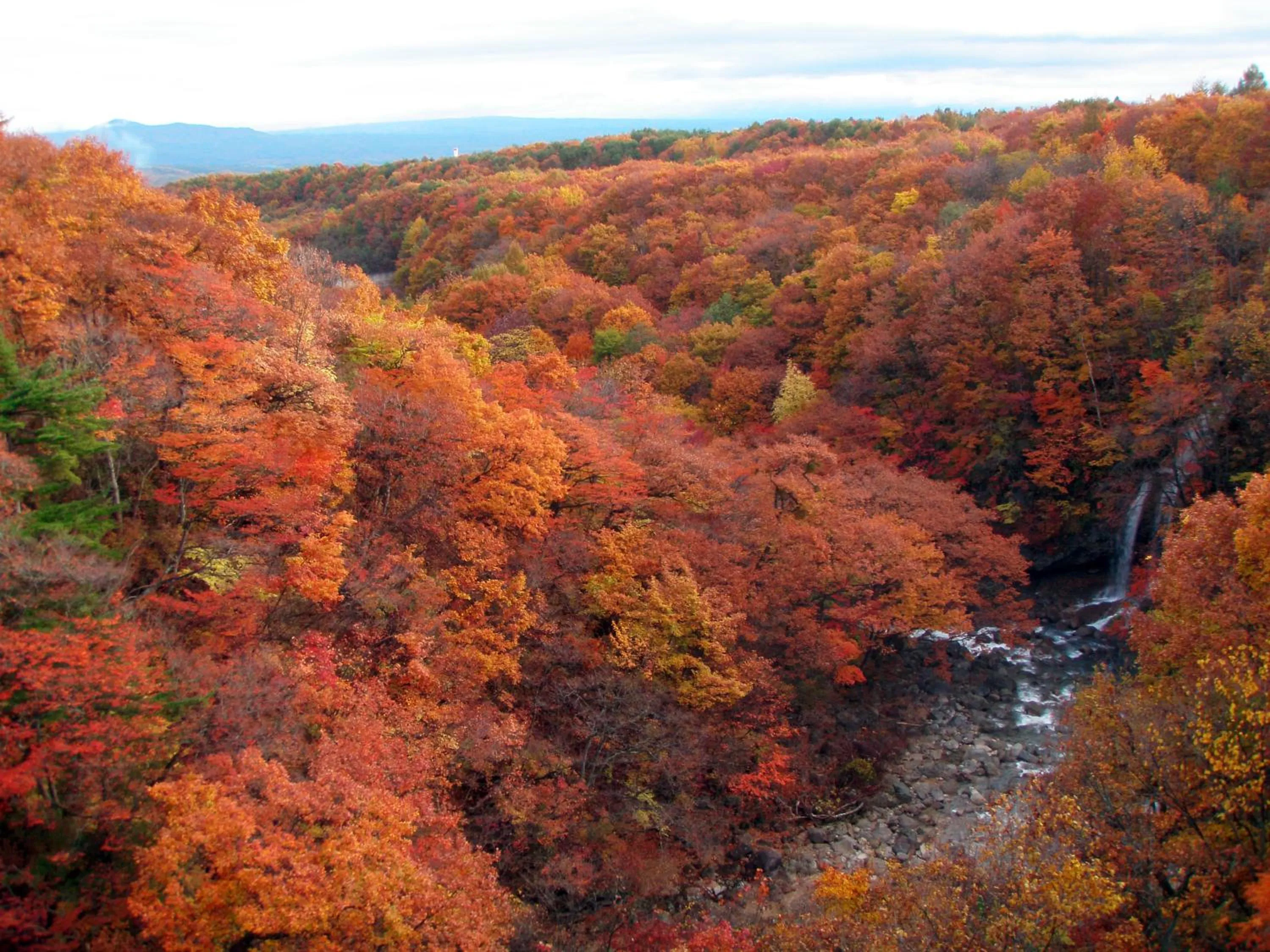 Autumn in Hachimantai Mountain Hotel & Spa