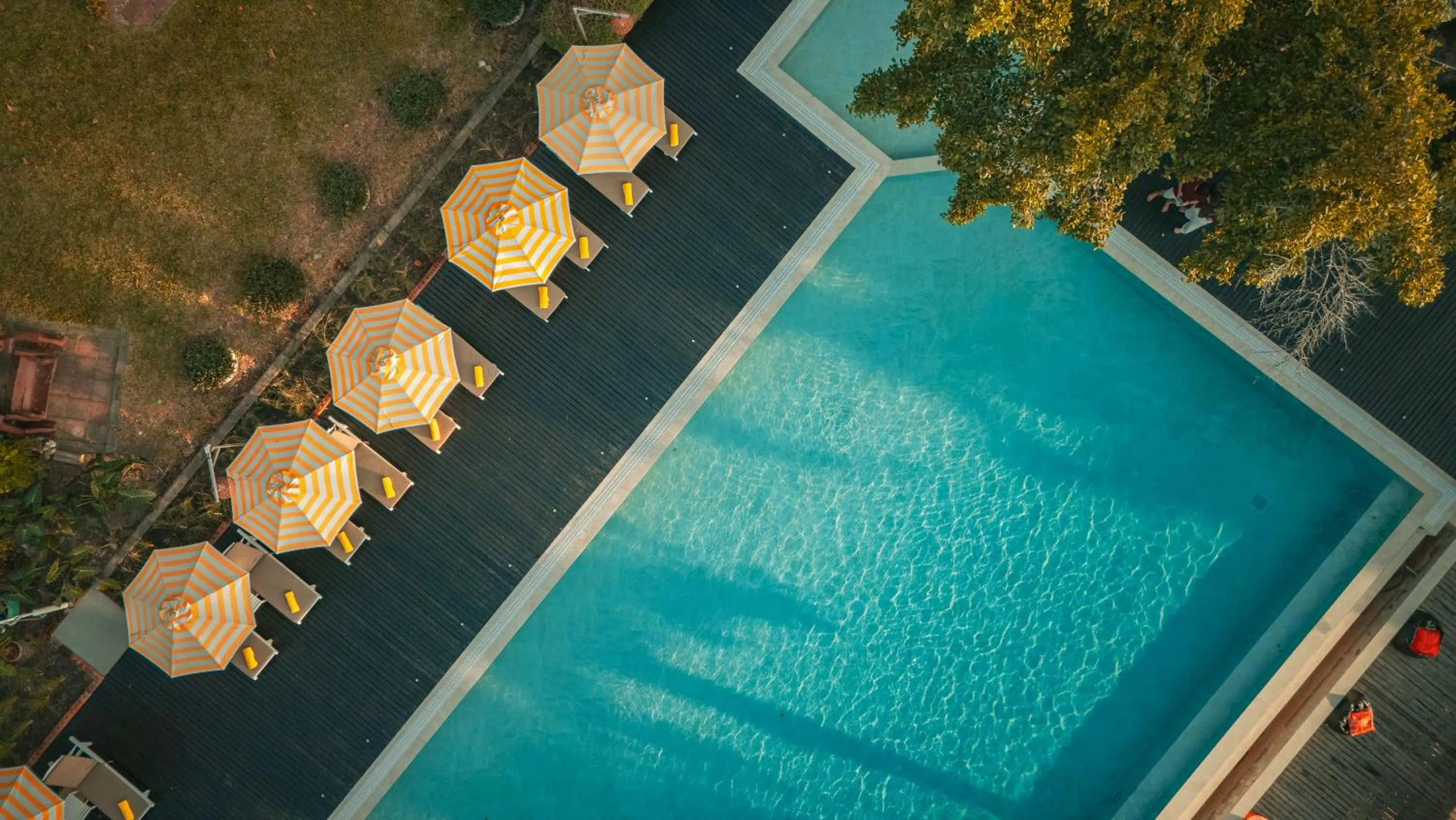 Pool view in Birds and Bees Resort
