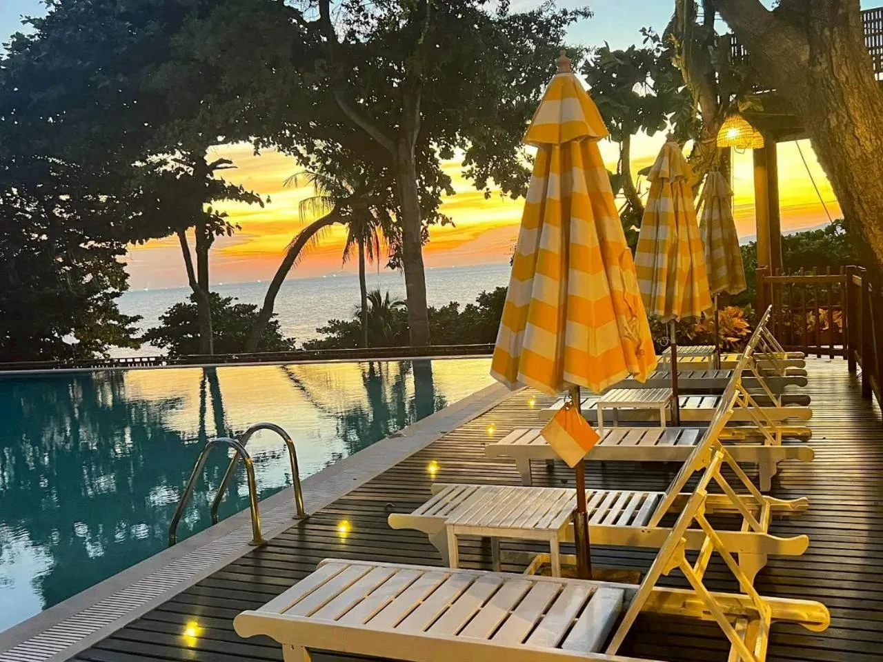 Swimming pool in Birds and Bees Resort