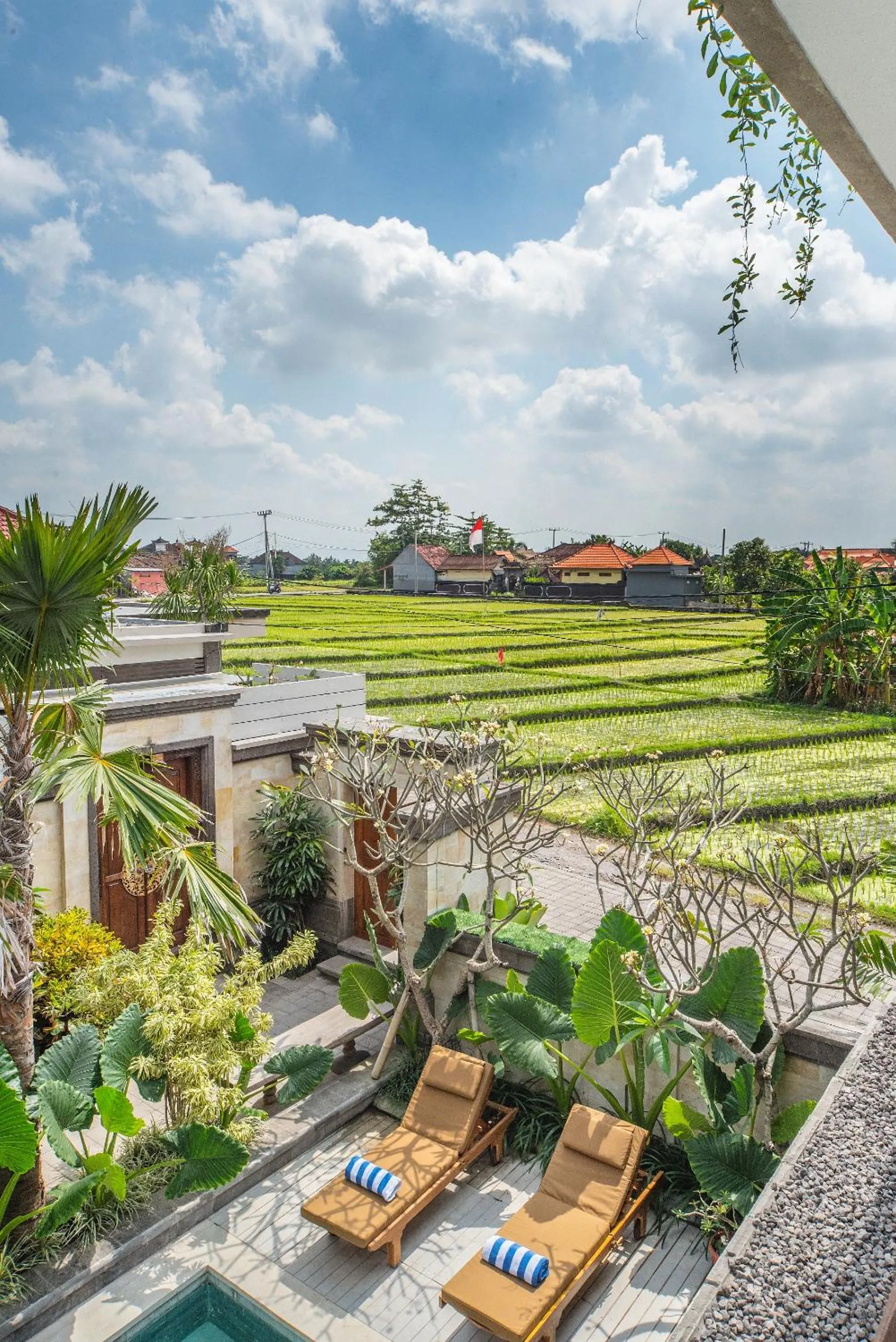 Garden in Puri Canggu Villas & Rooms