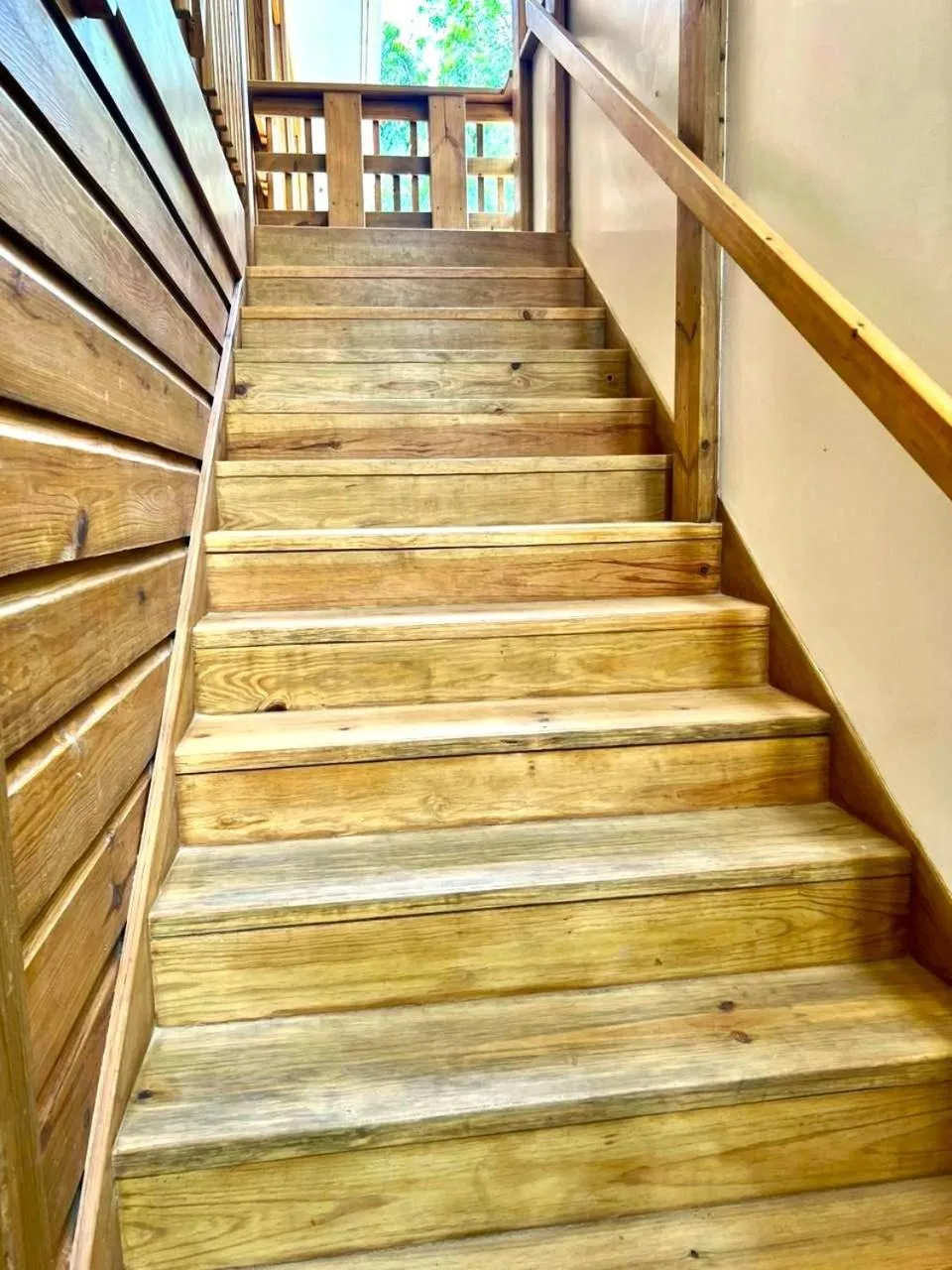 Property building in Mr. Tucan Hotel