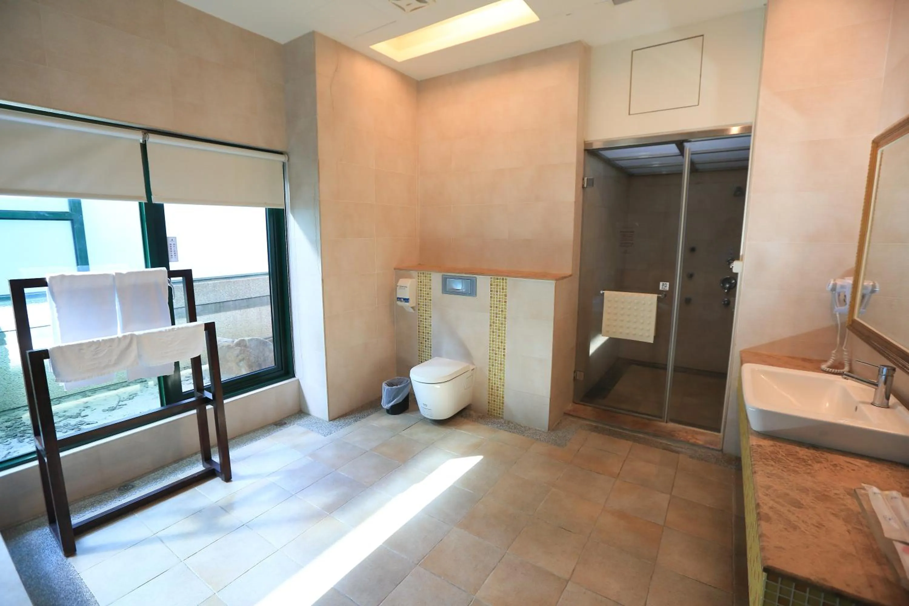 Shower, Bed in Moon Area Motel