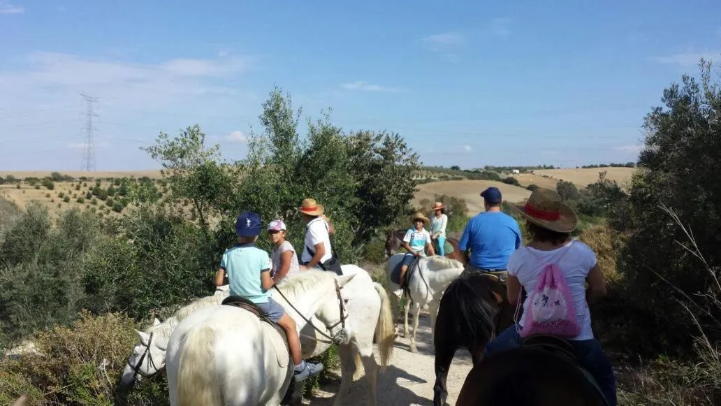 Horse-riding in Mesón de la Molinera