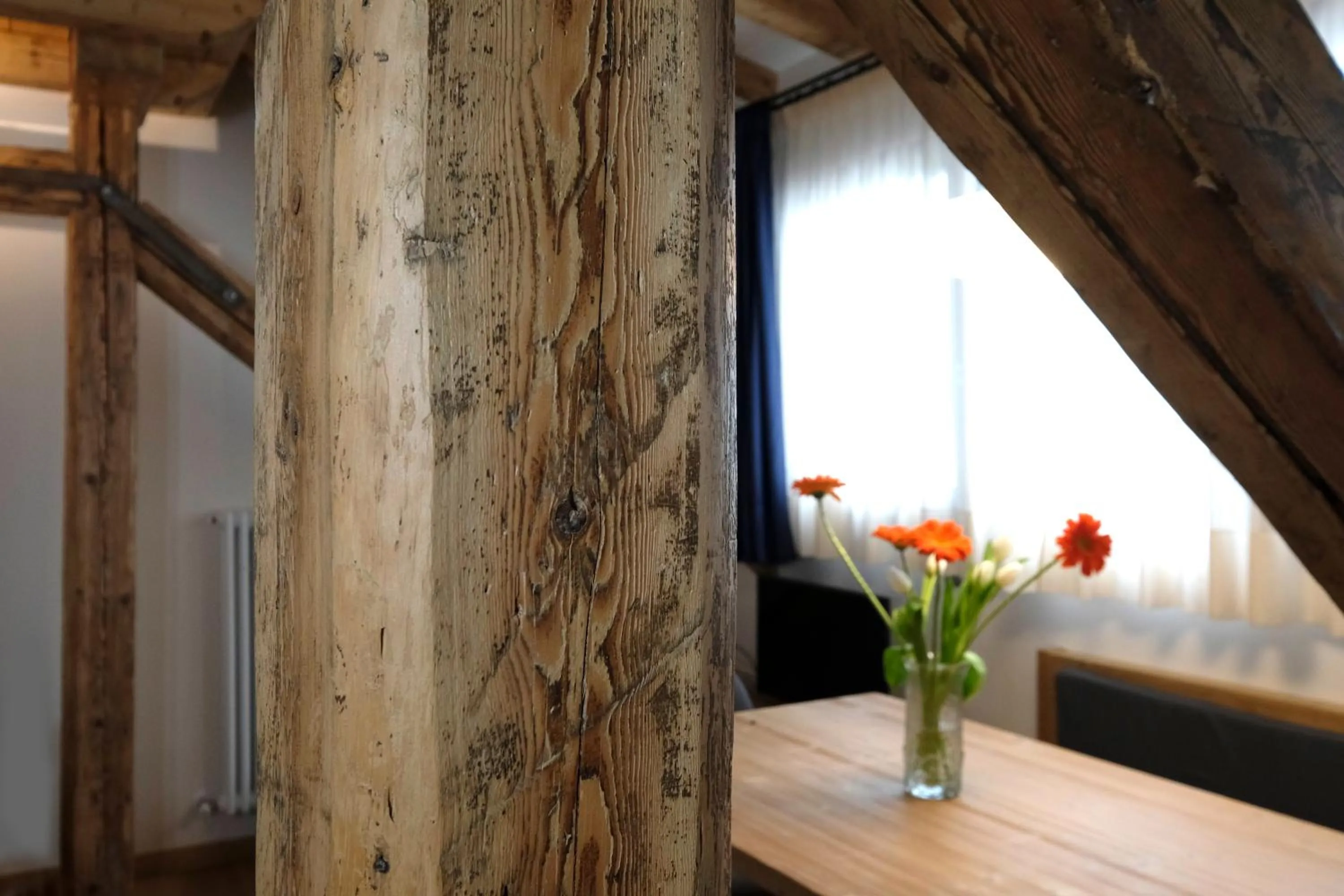 Living room in Residence Langes