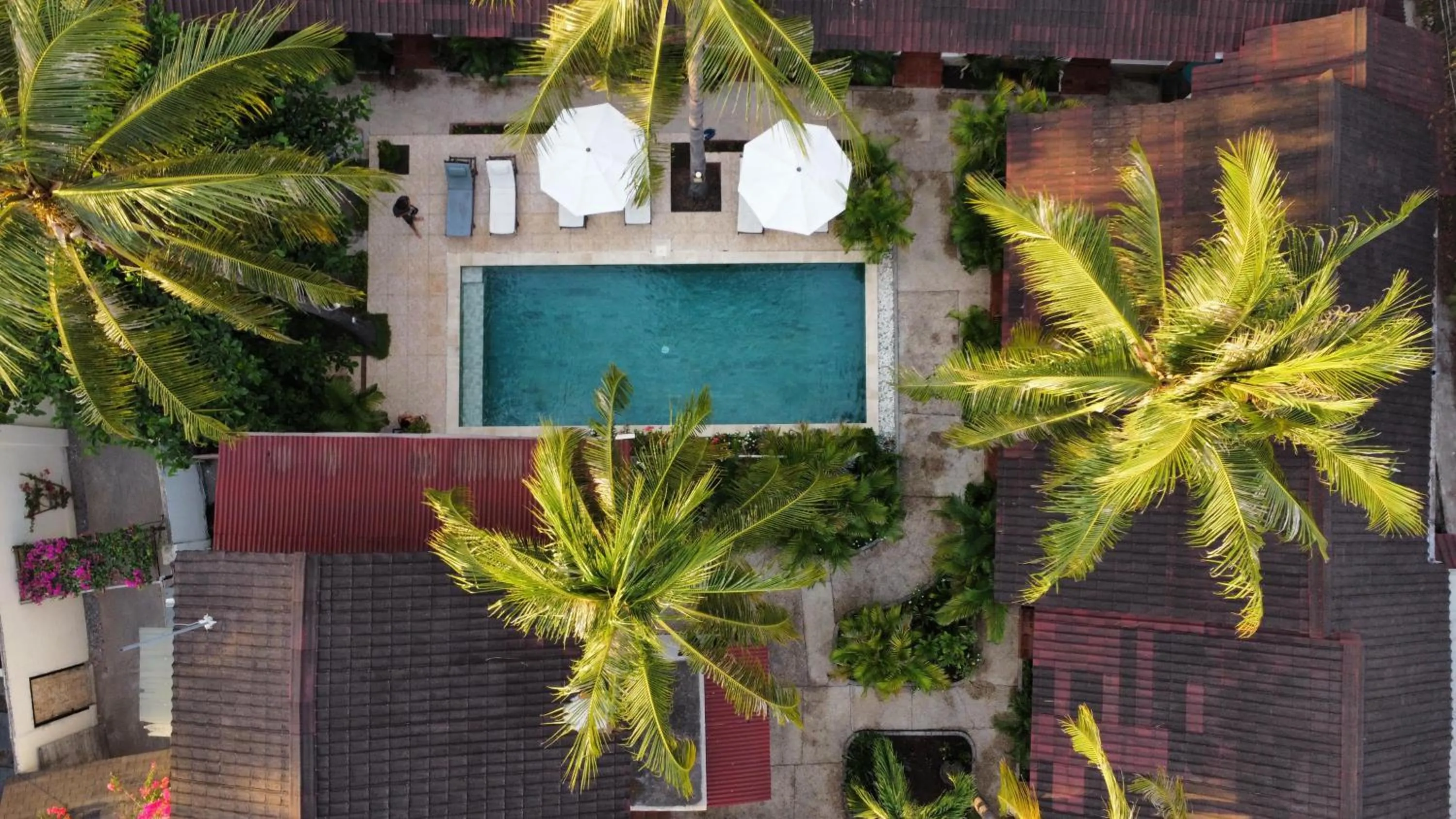 White Coconut Resort