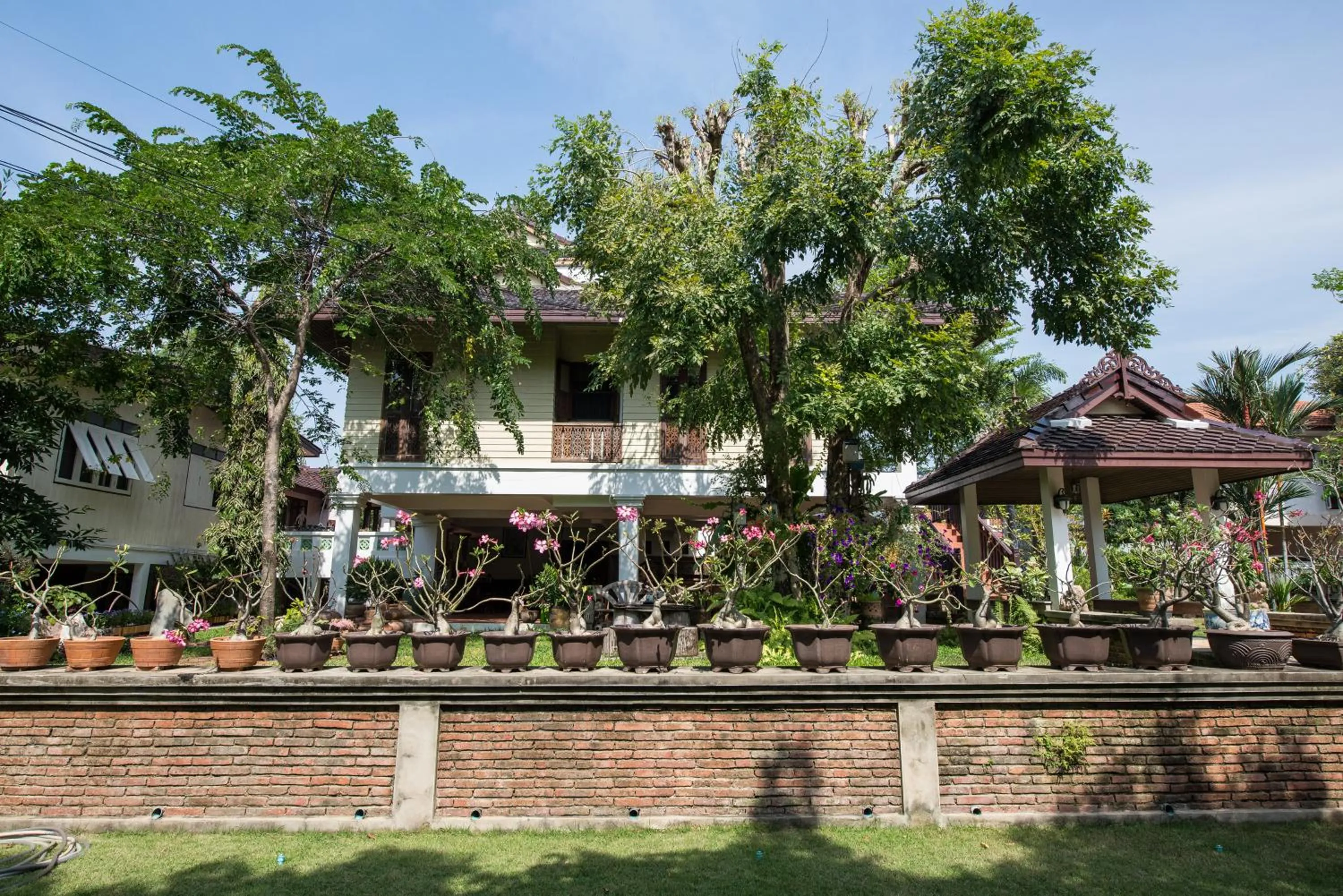 Garden in Phuttal Residence