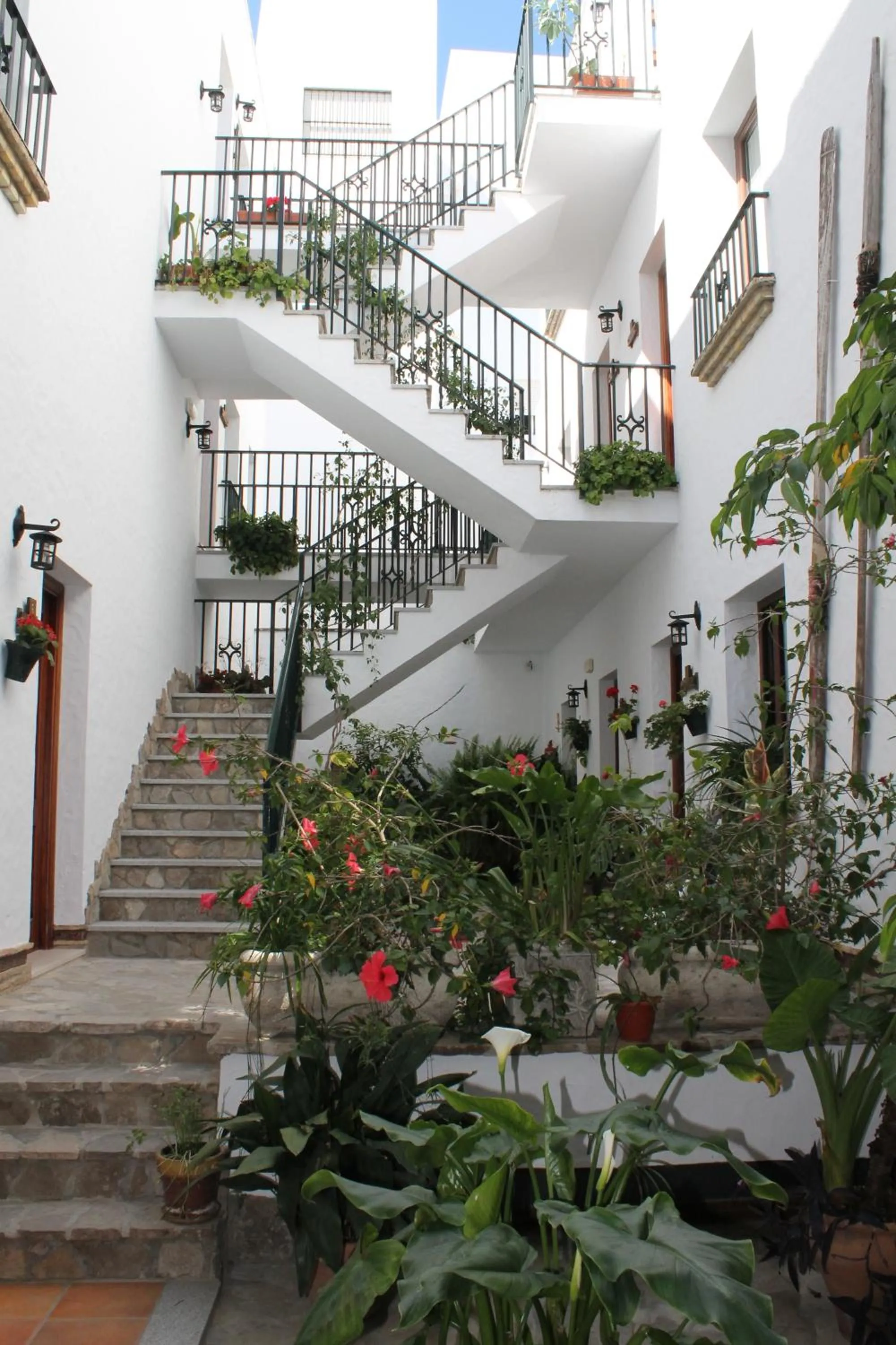 Patio in Almadraba Conil