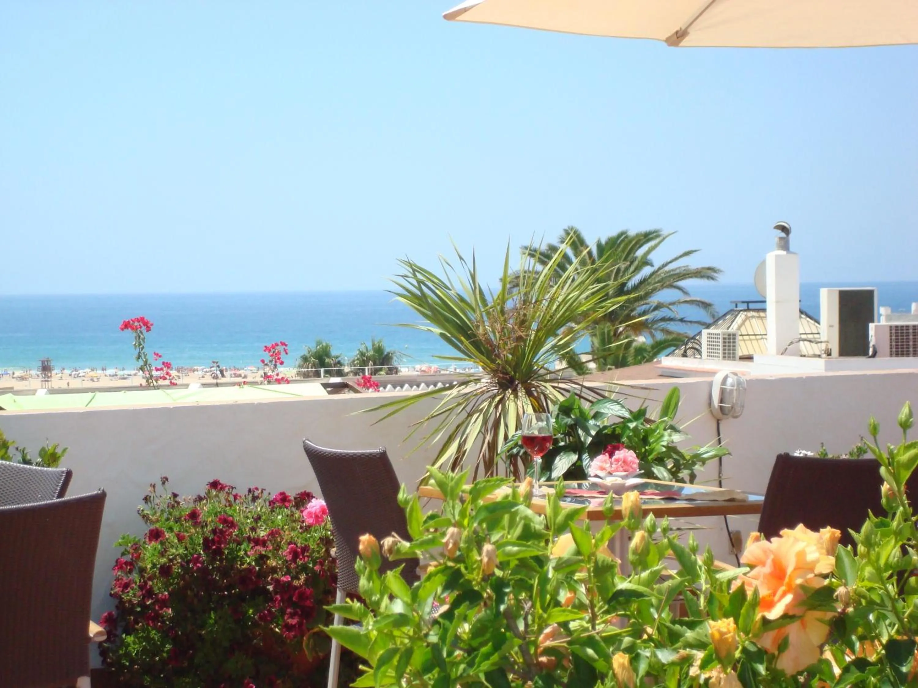 Summer in Almadraba Conil