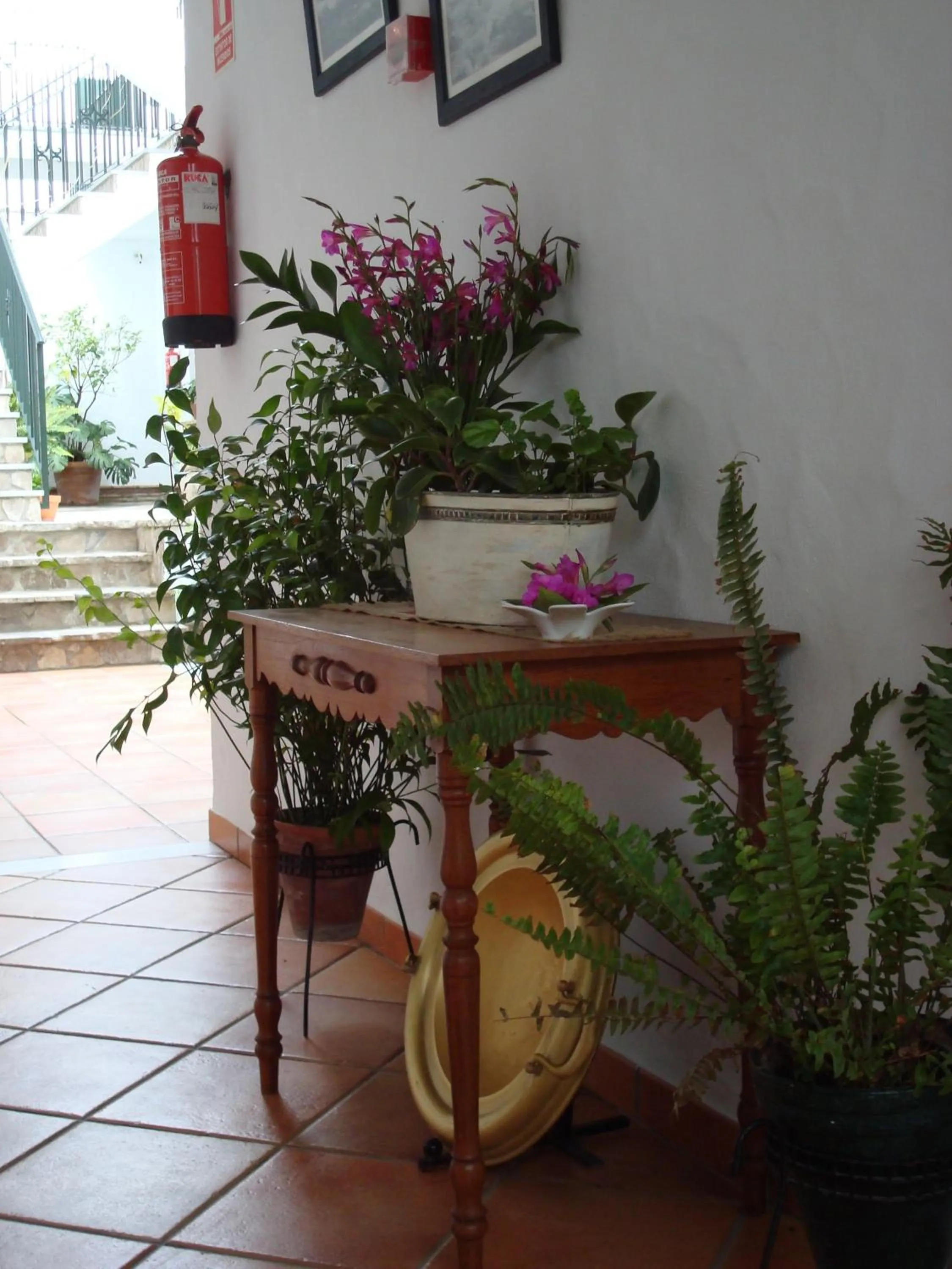 Spring in Almadraba Conil