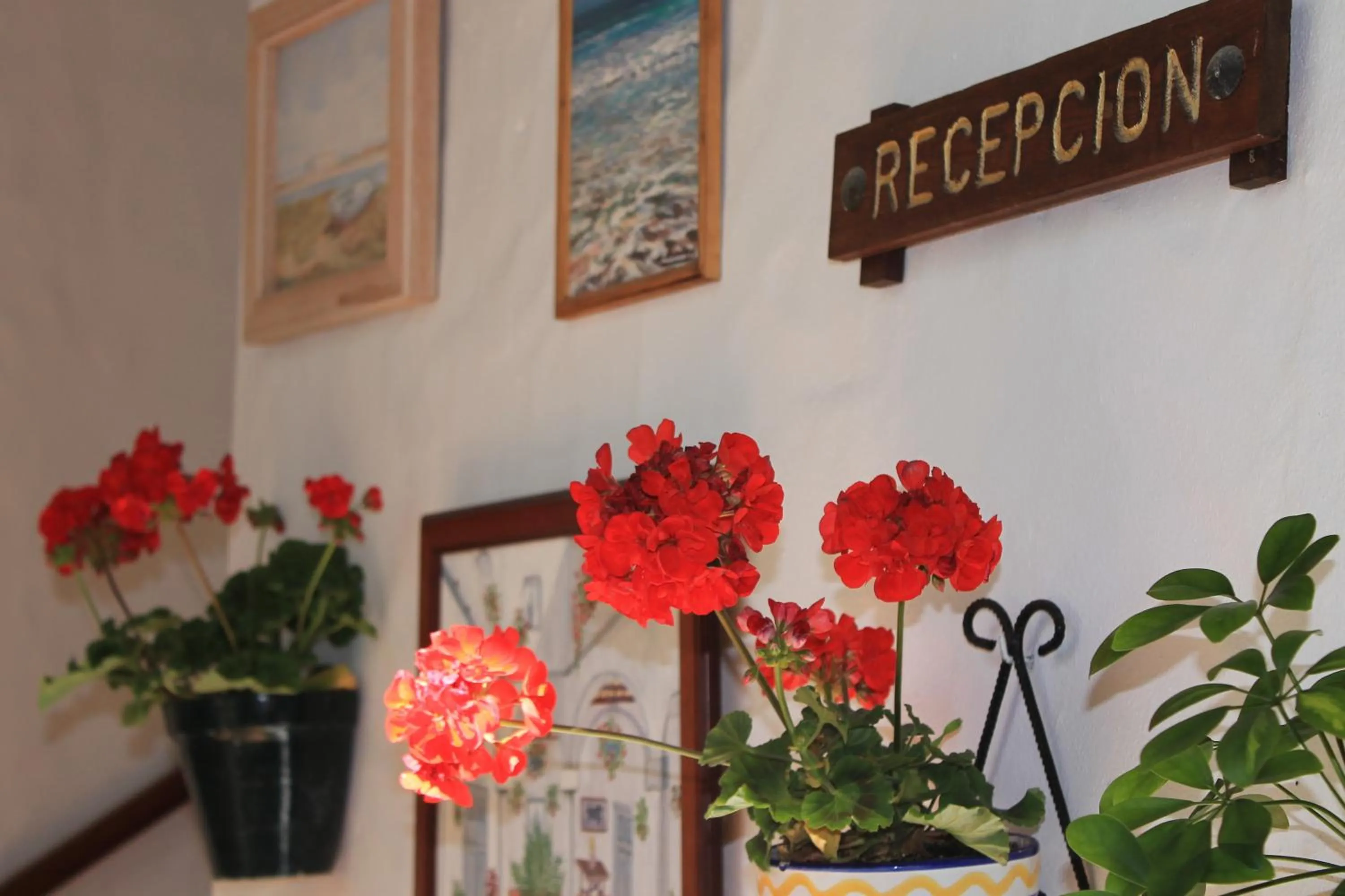 Patio in Almadraba Conil