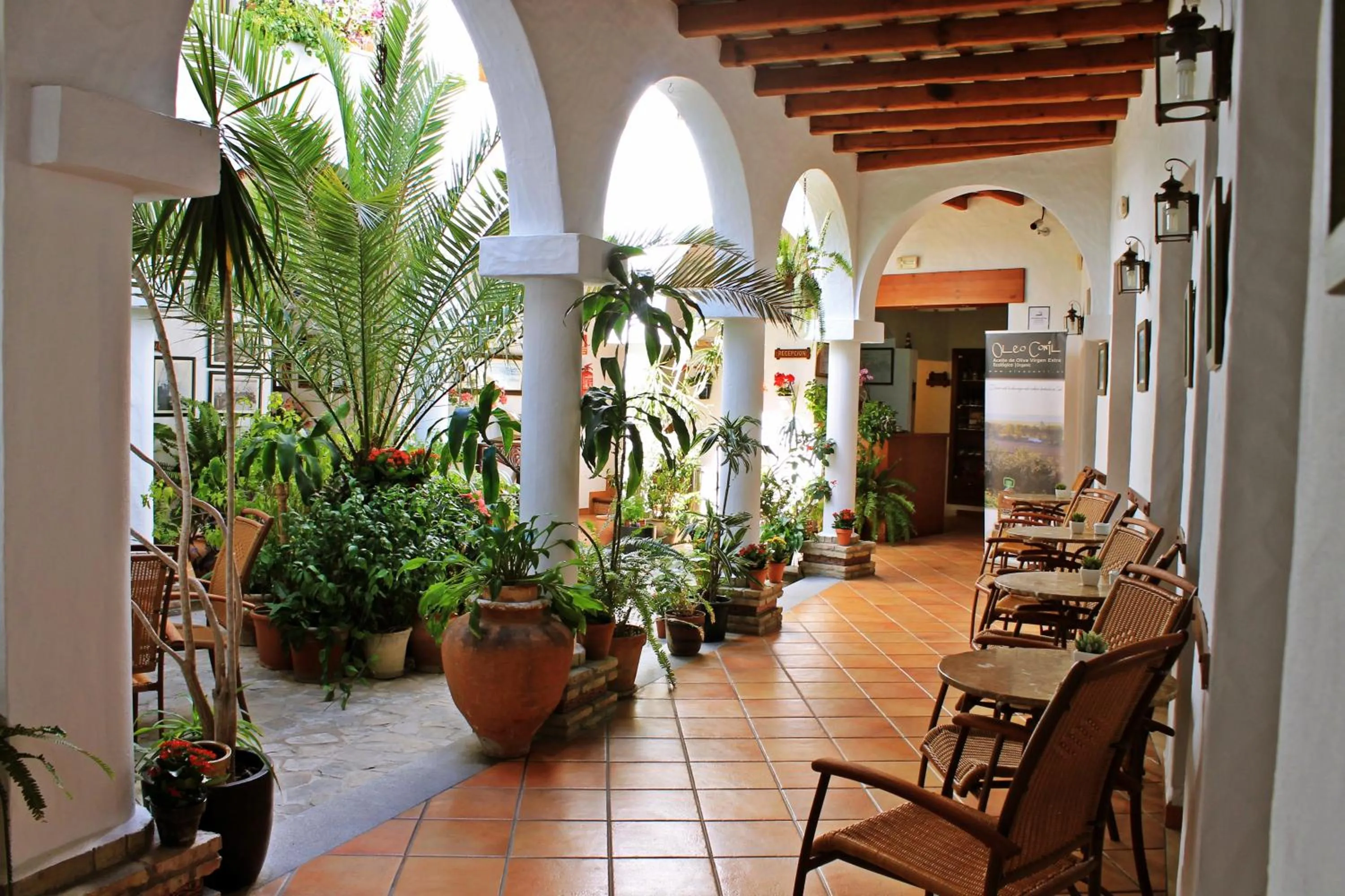 Patio in Almadraba Conil